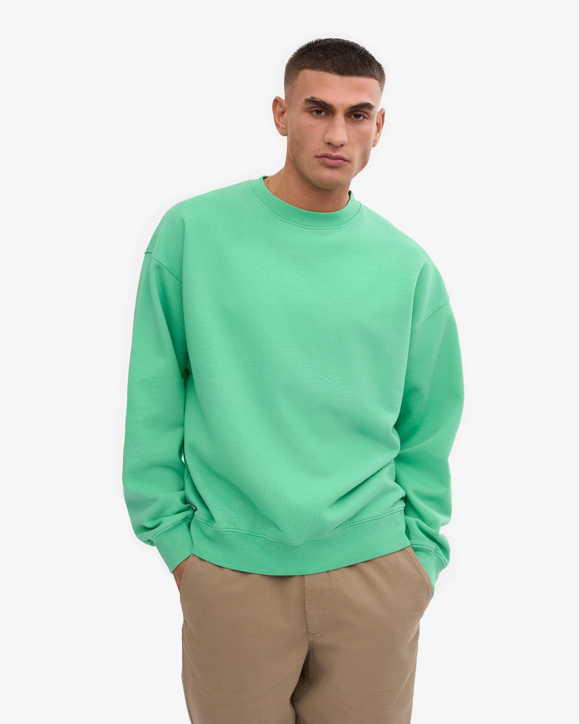 Organic Oversized Crew - Spring Green Product Image