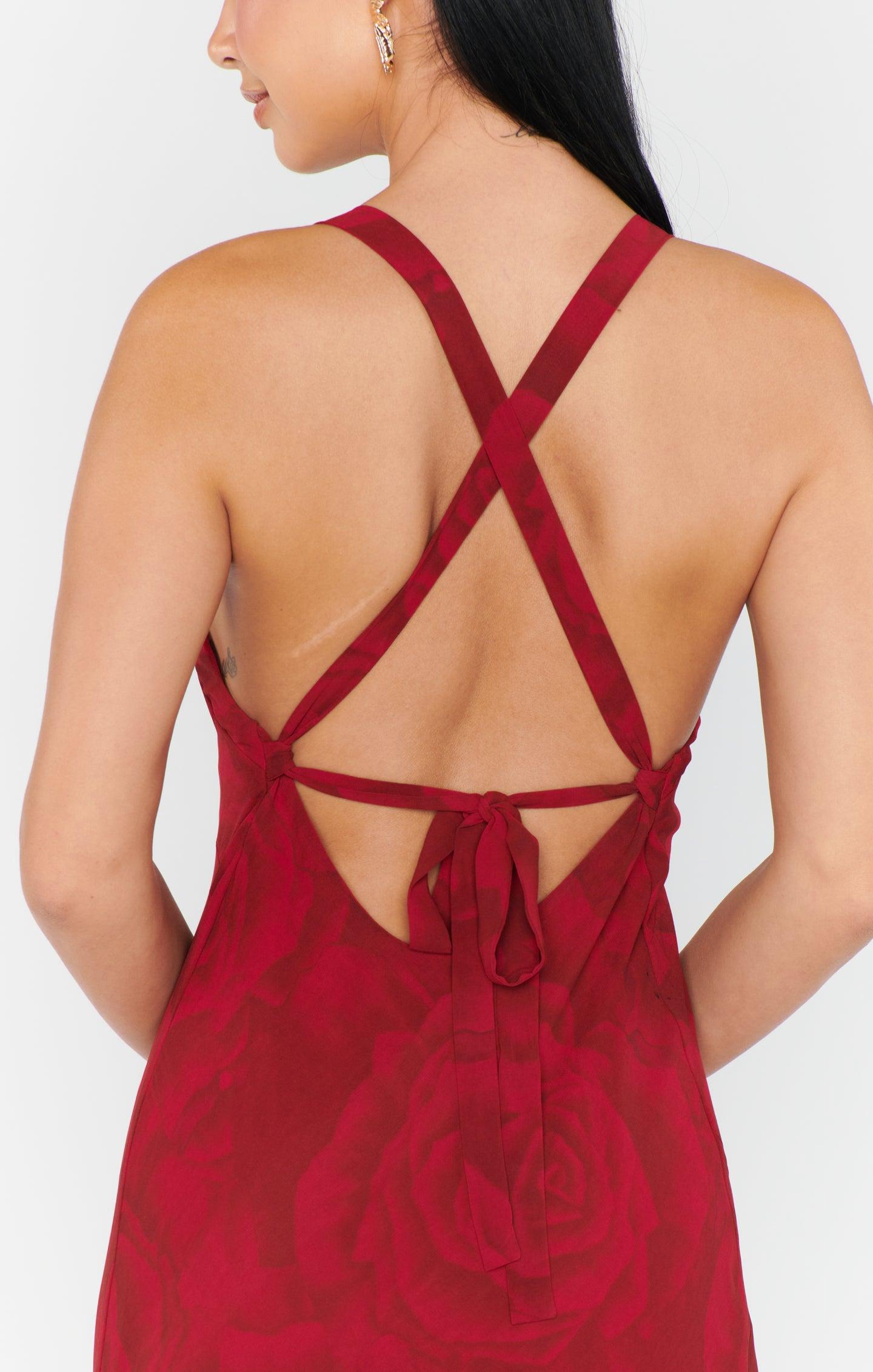 Anderson Maxi Dress ~ Dark Romance Product Image