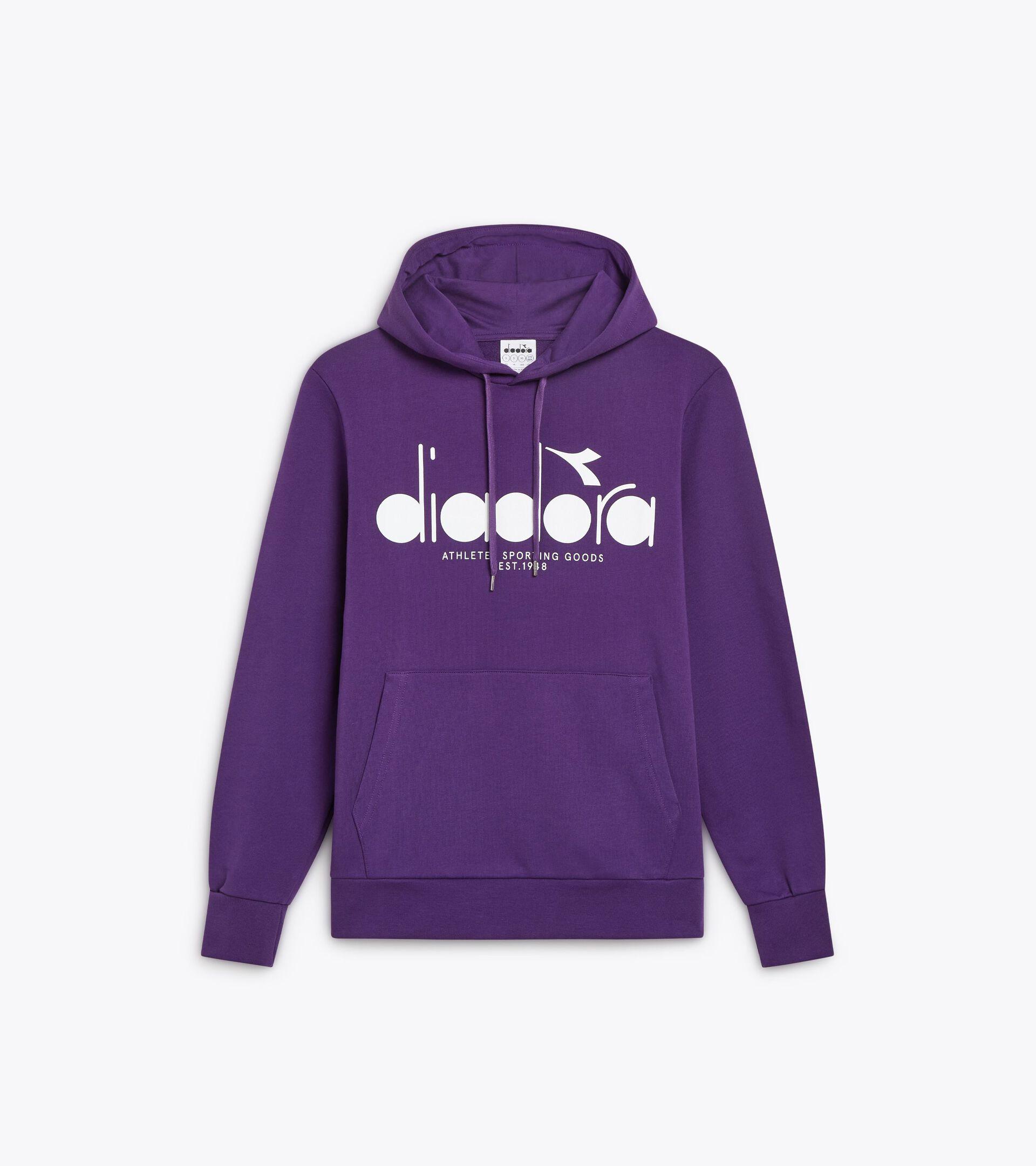 HOODIE LOGO Product Image