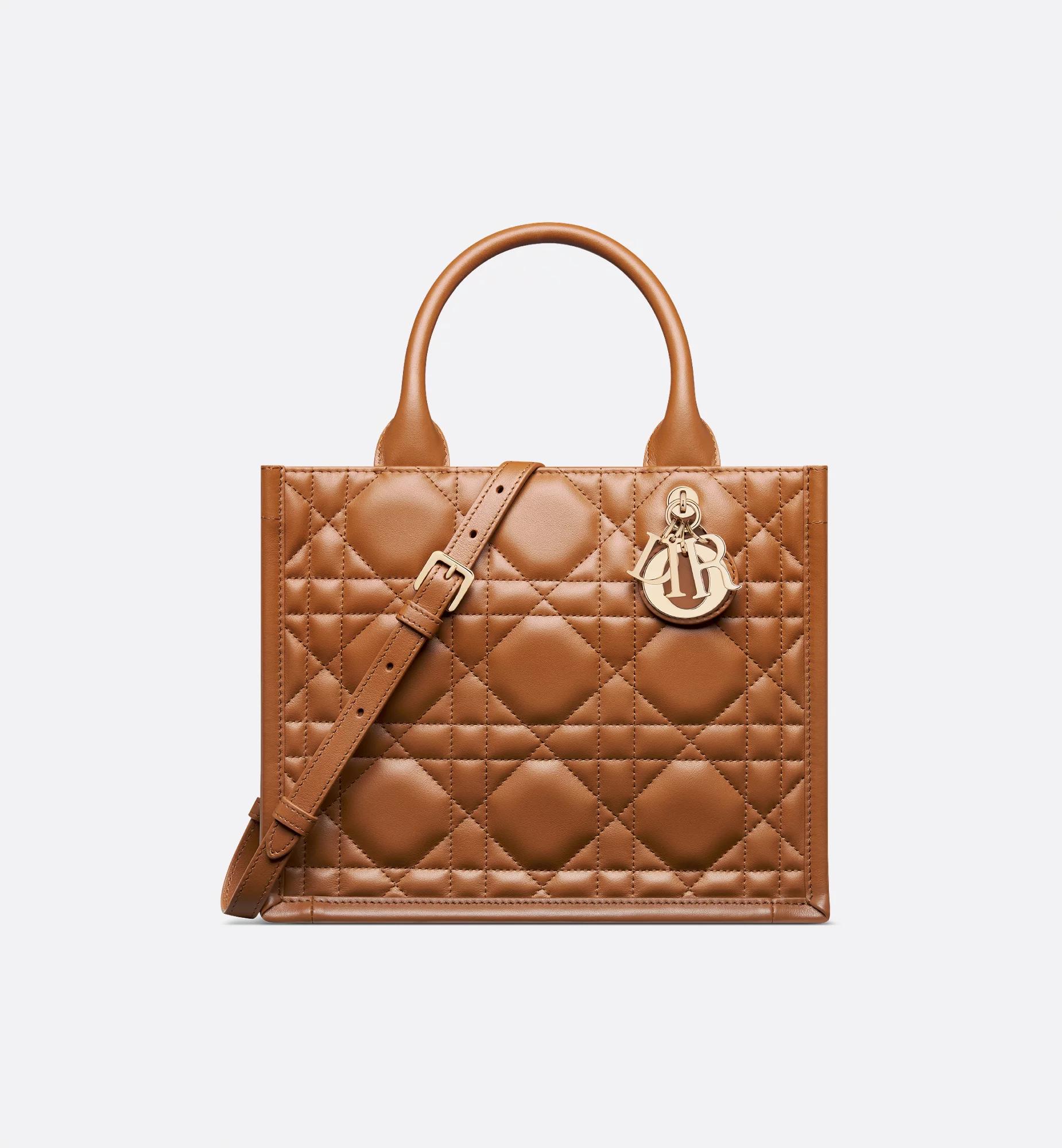 Small Dior Book Tote Product Image