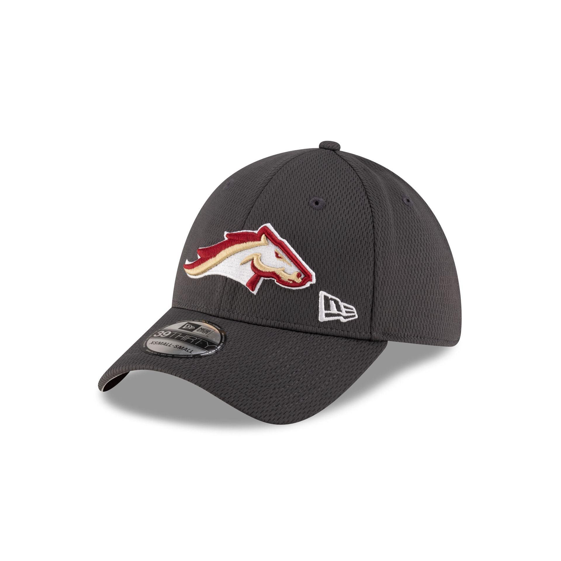 Birmingham Stallions Gray 39THIRTY Stretch Fit Hat Male Product Image
