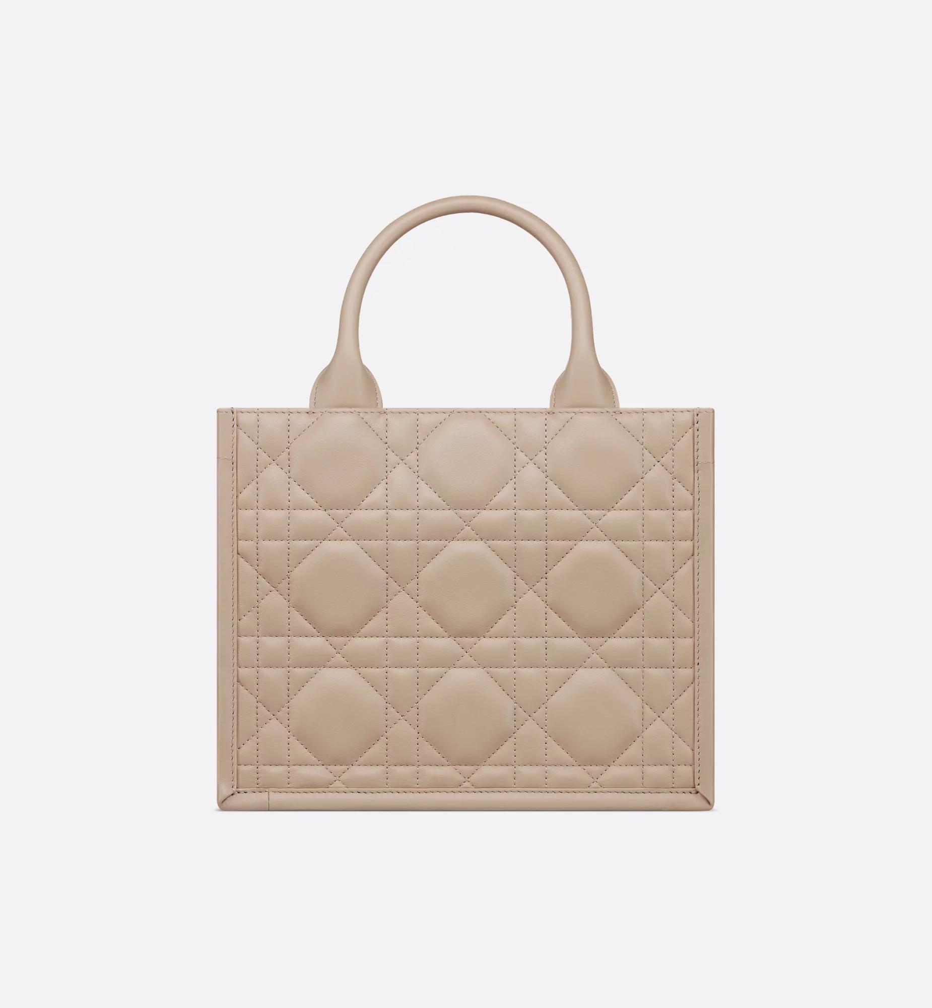 Small Dior Book Tote Product Image