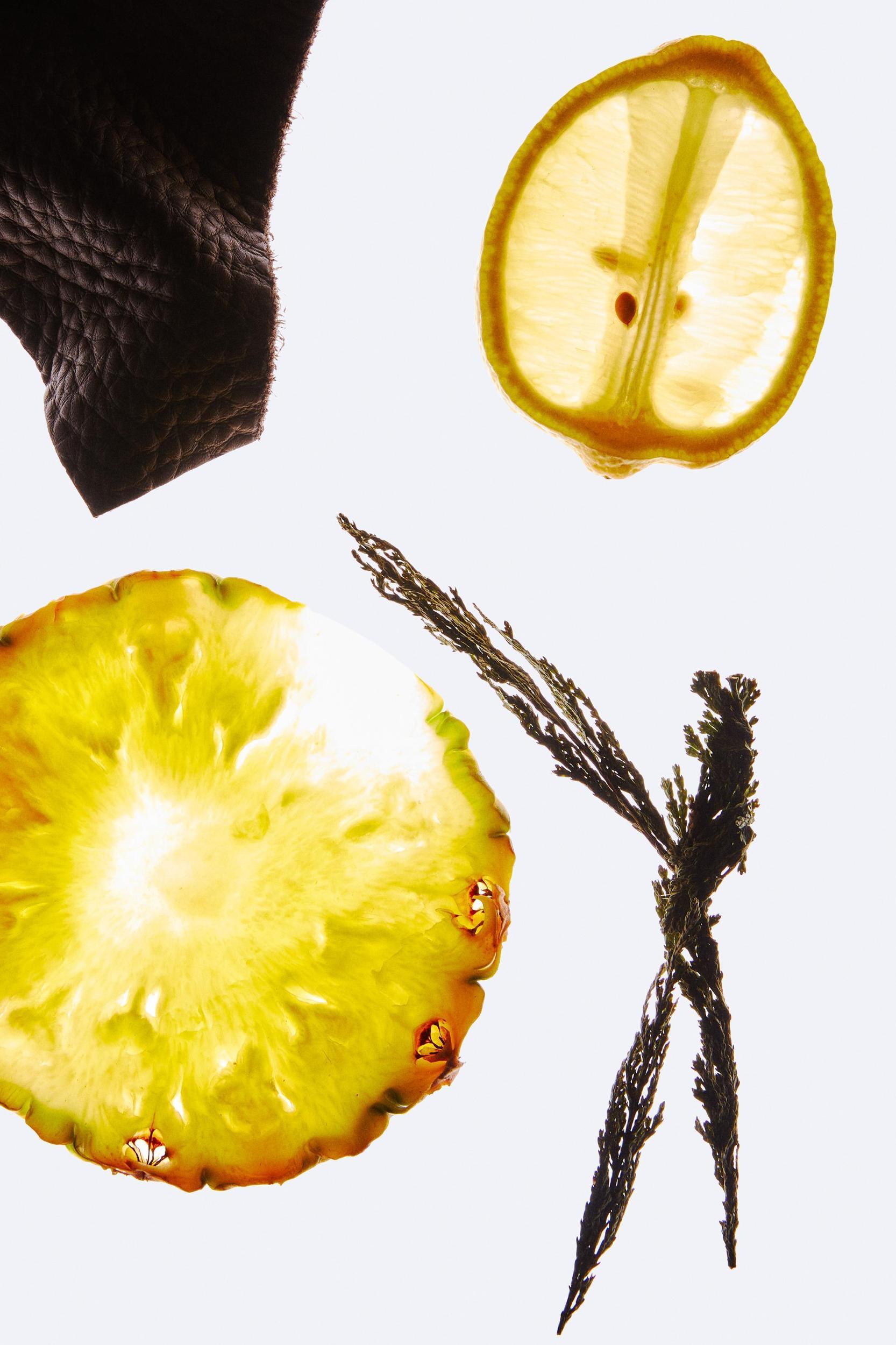 BOGOSS VIBRANT LEATHER EDP 60 ML (2.03 FL. OZ) Product Image