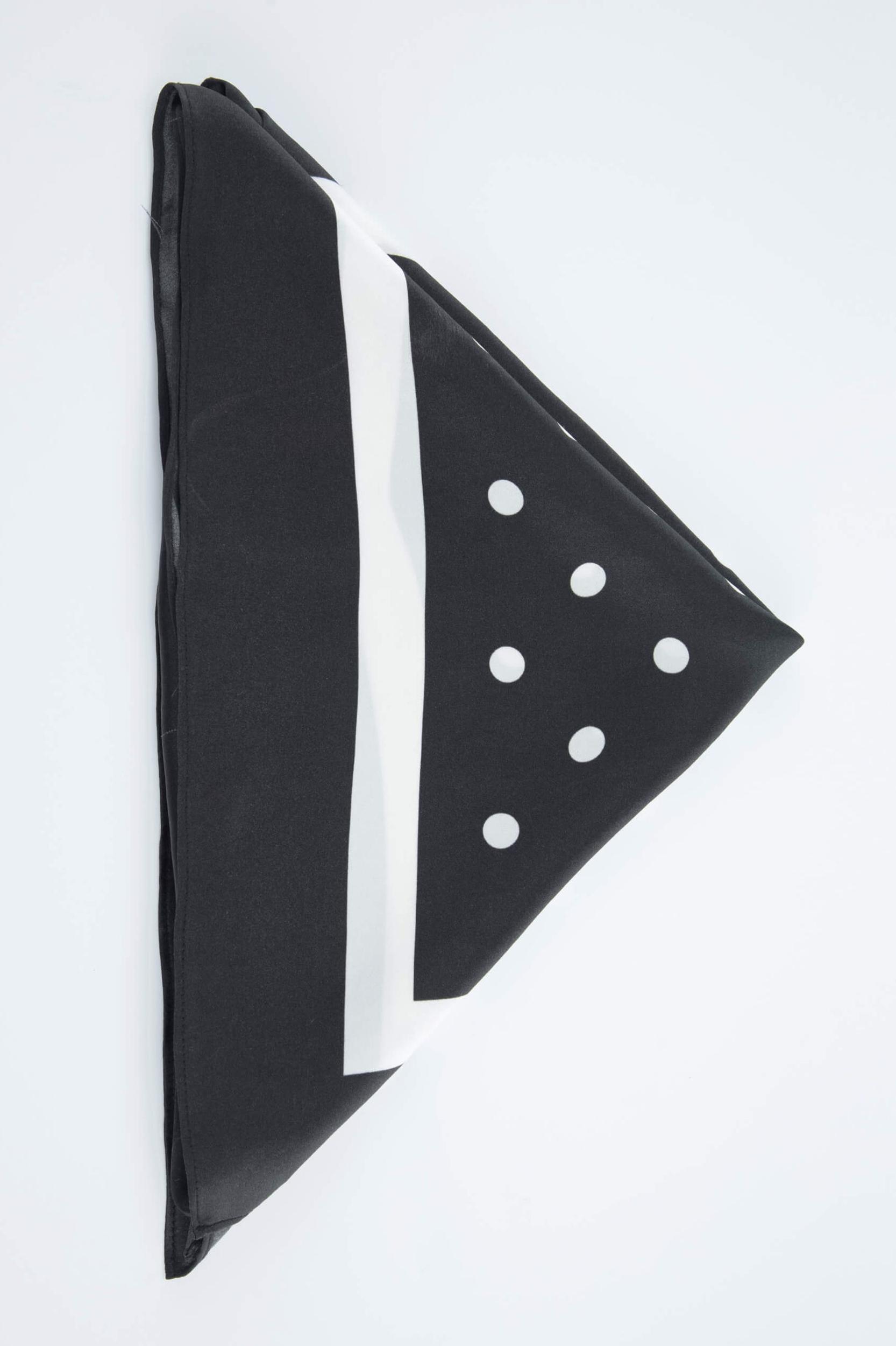 Vintage Polka Dot Silk Scarf Product Image