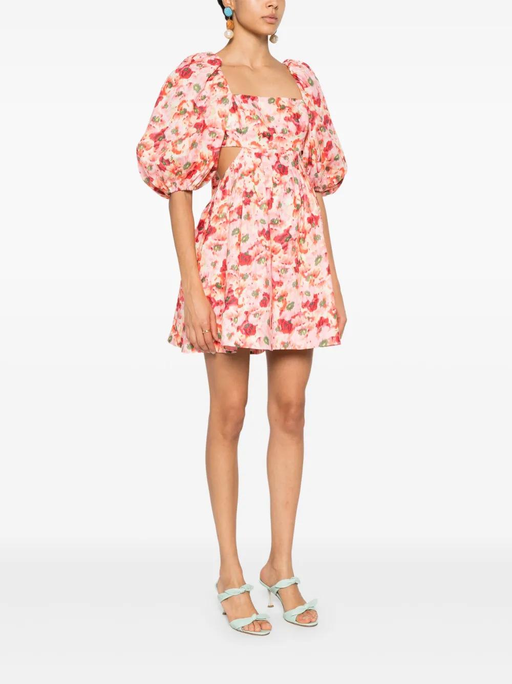 Lightburst floral-print mini dress Product Image