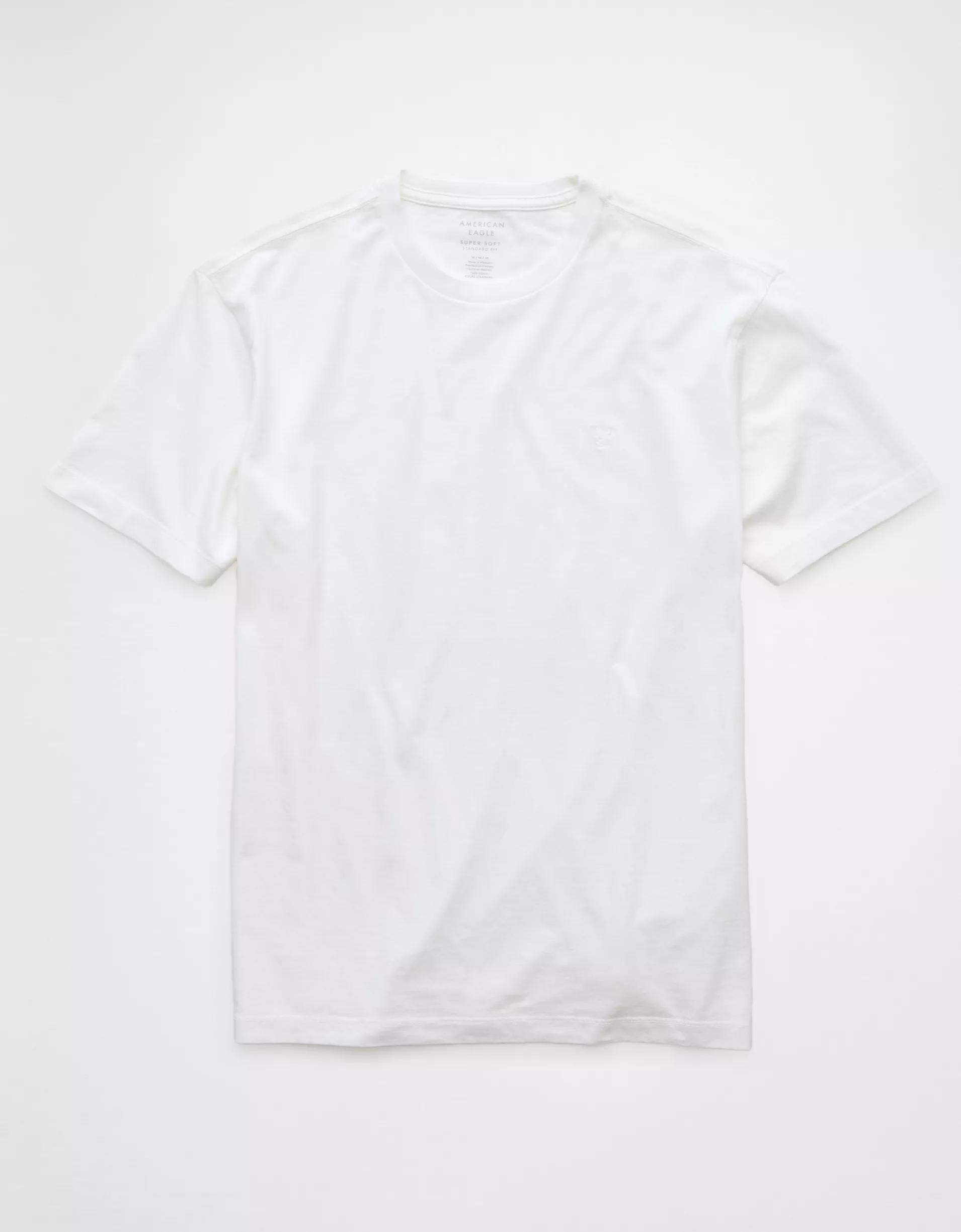 AE Logo Lived-In T-Shirt Product Image