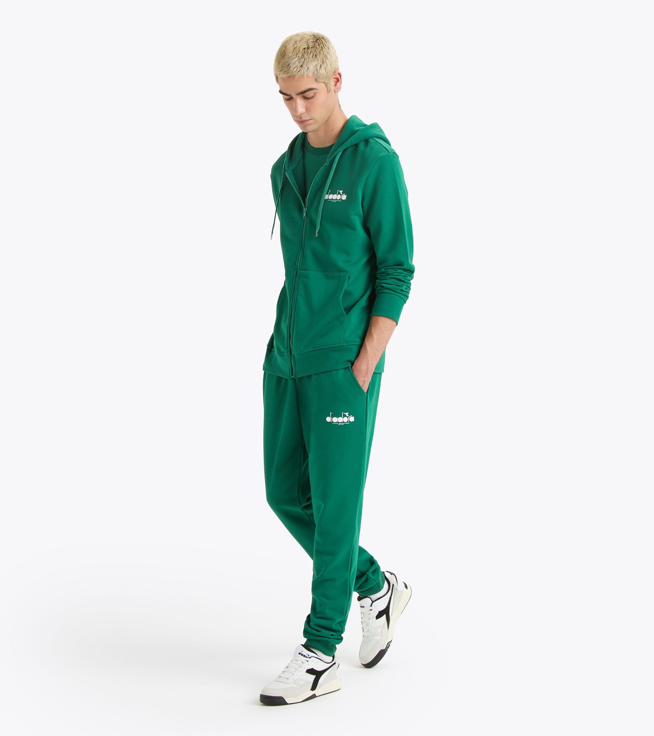 HOODIE FZ LOGO Product Image