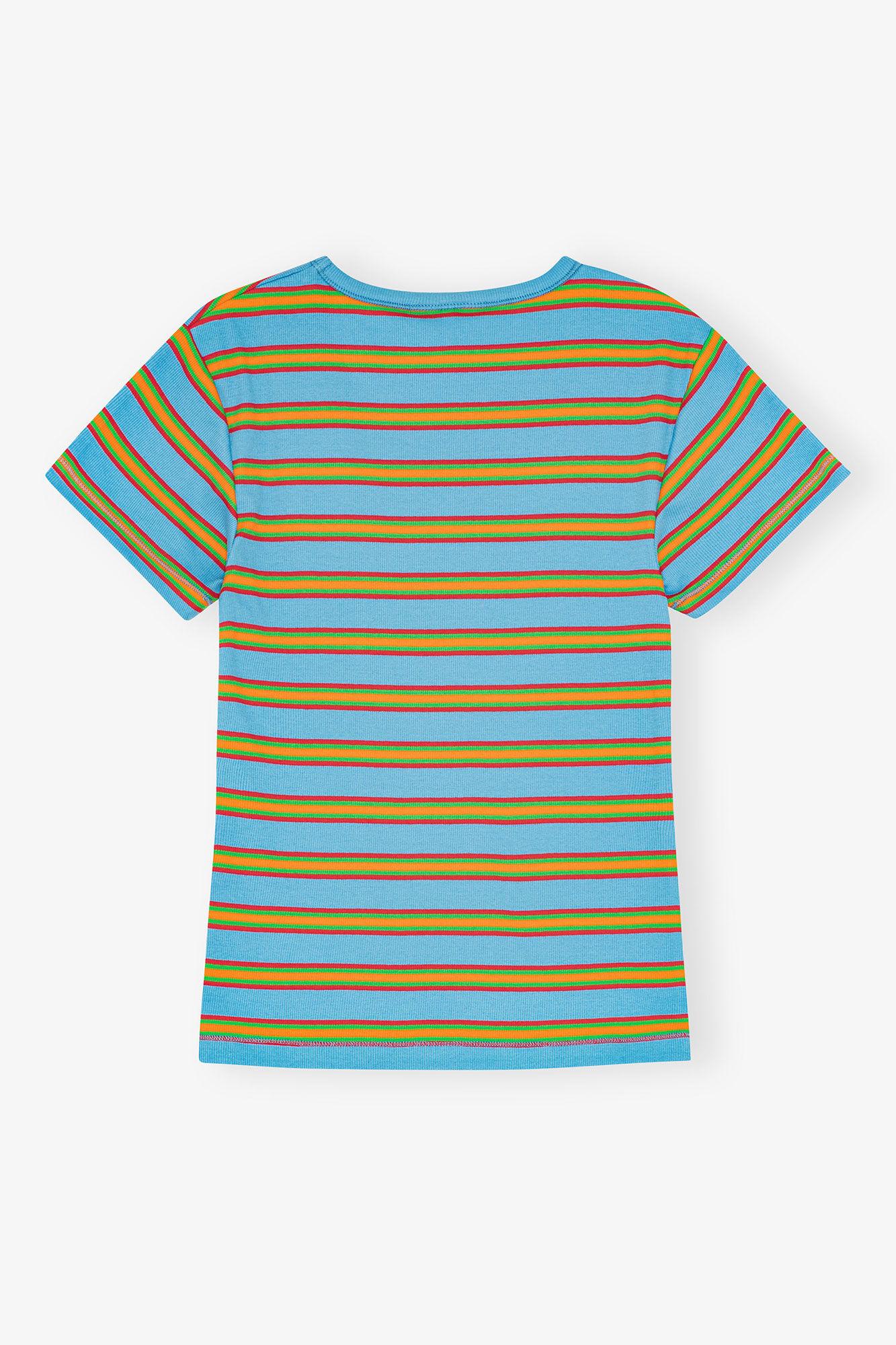 Multicolor Striped Rib T-shirt Product Image