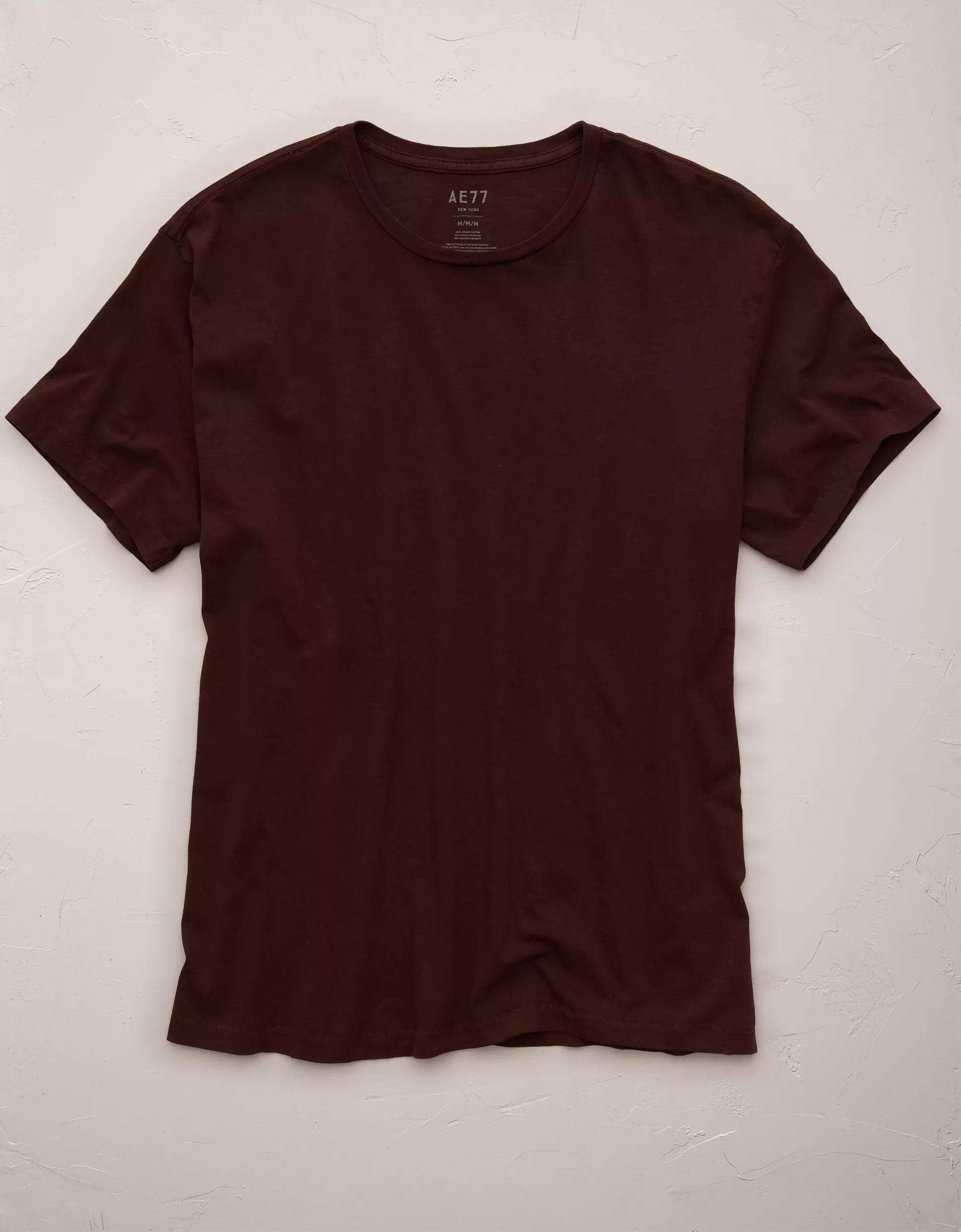 AE77 Premium Classic T-Shirt Product Image