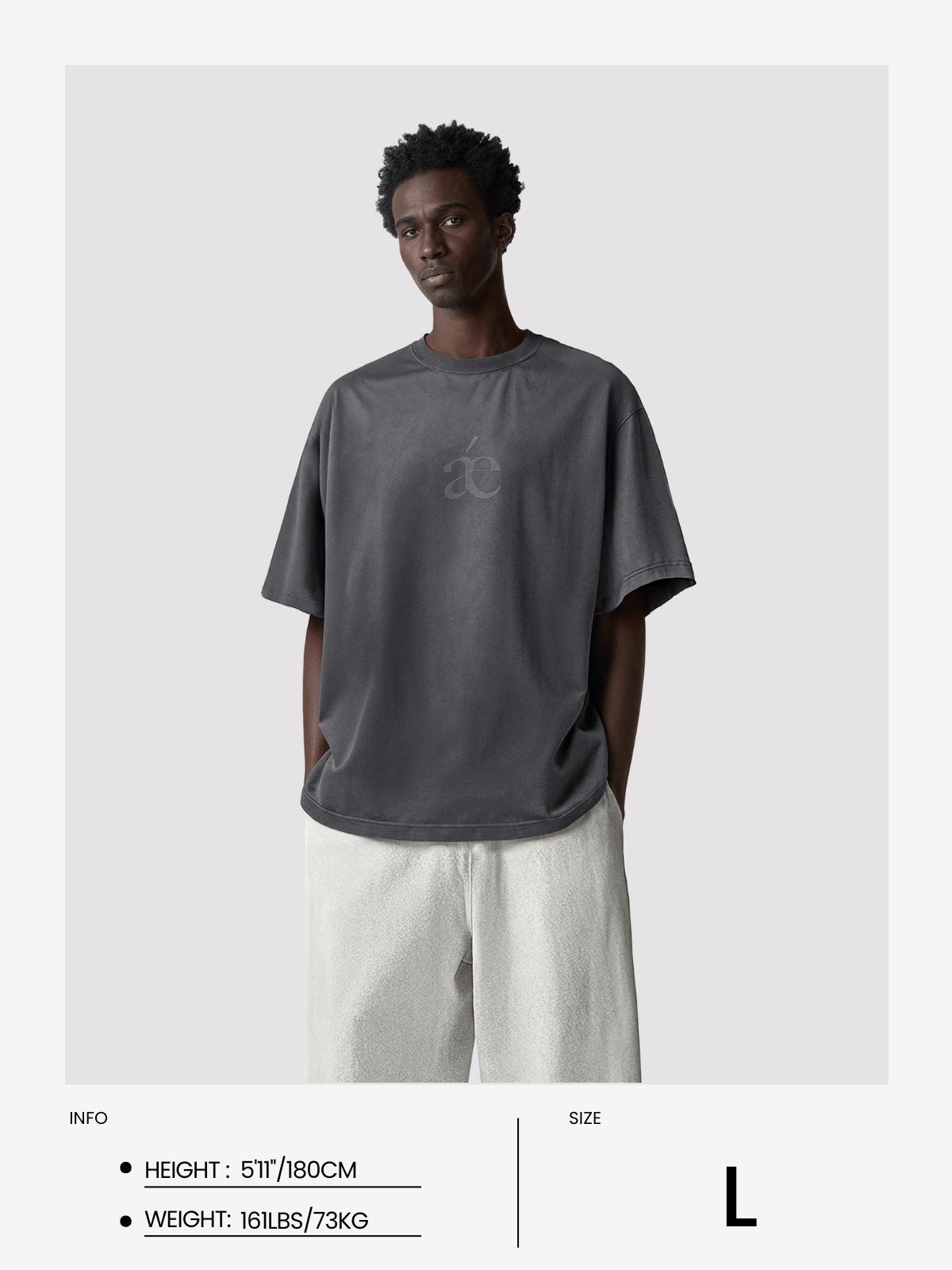 Aelfric Eden Essential aé Gradient Washed Tee Product Image