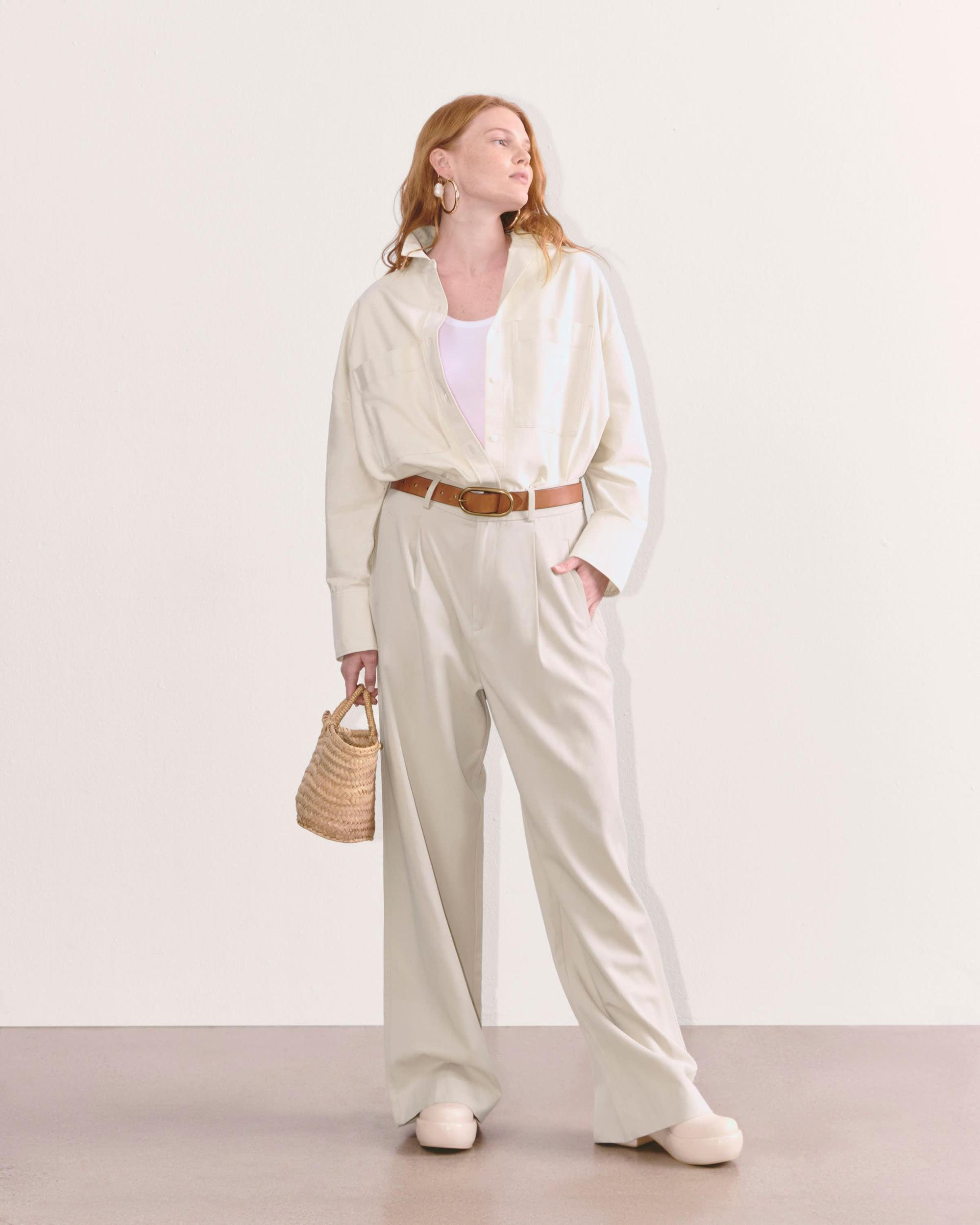 Womens Draper Pleated Pant in Buttersmooth by Everlane Product Image
