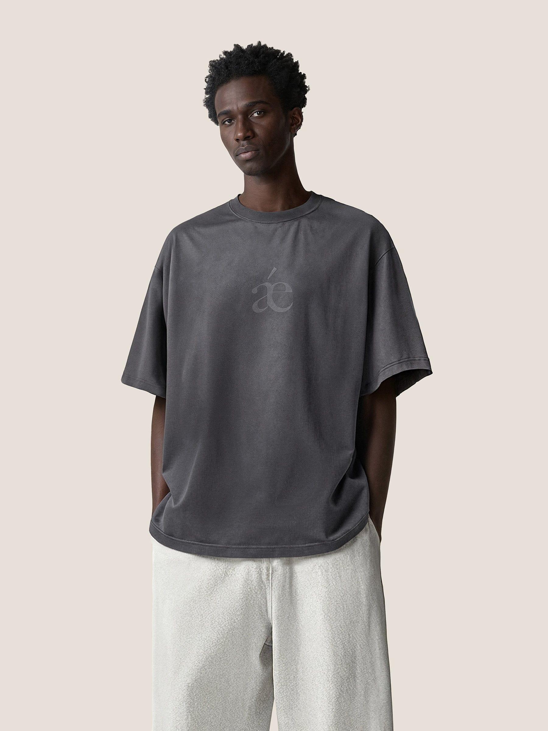 Aelfric Eden Essential aé Gradient Washed Tee Product Image
