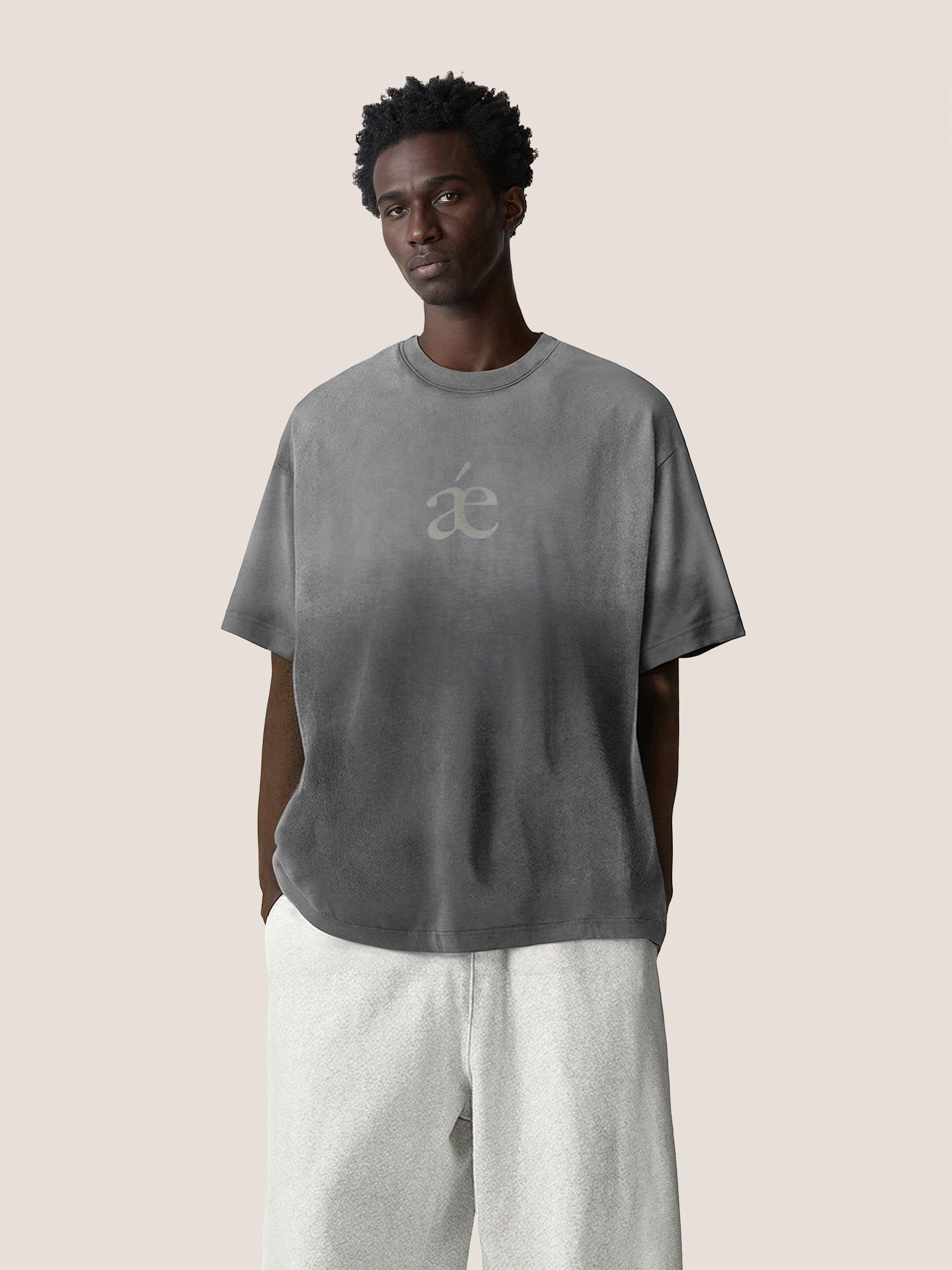 Aelfric Eden Essential aé Gradient Washed Tee Product Image