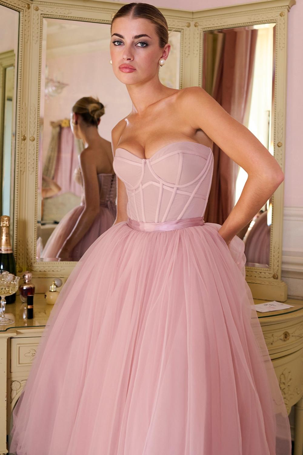 Darling  french rose tulle midi dress - sale Product Image