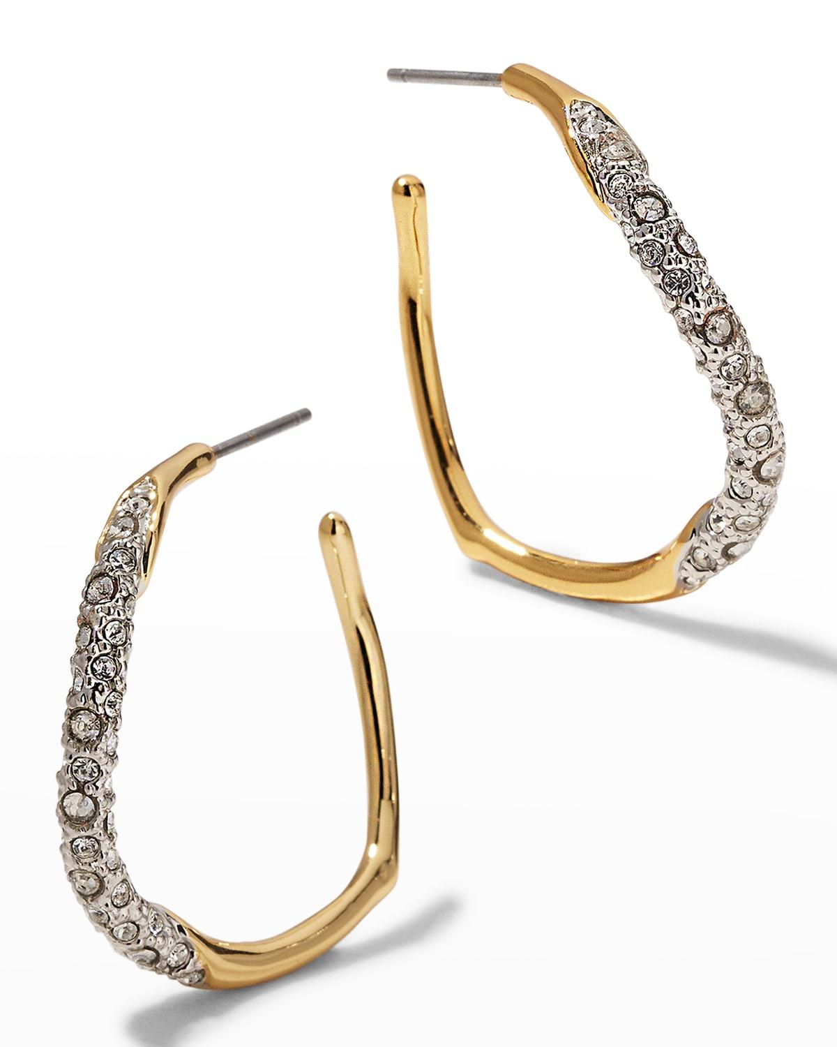 Medium Two-Toned Pave Hoop Earrings Product Image