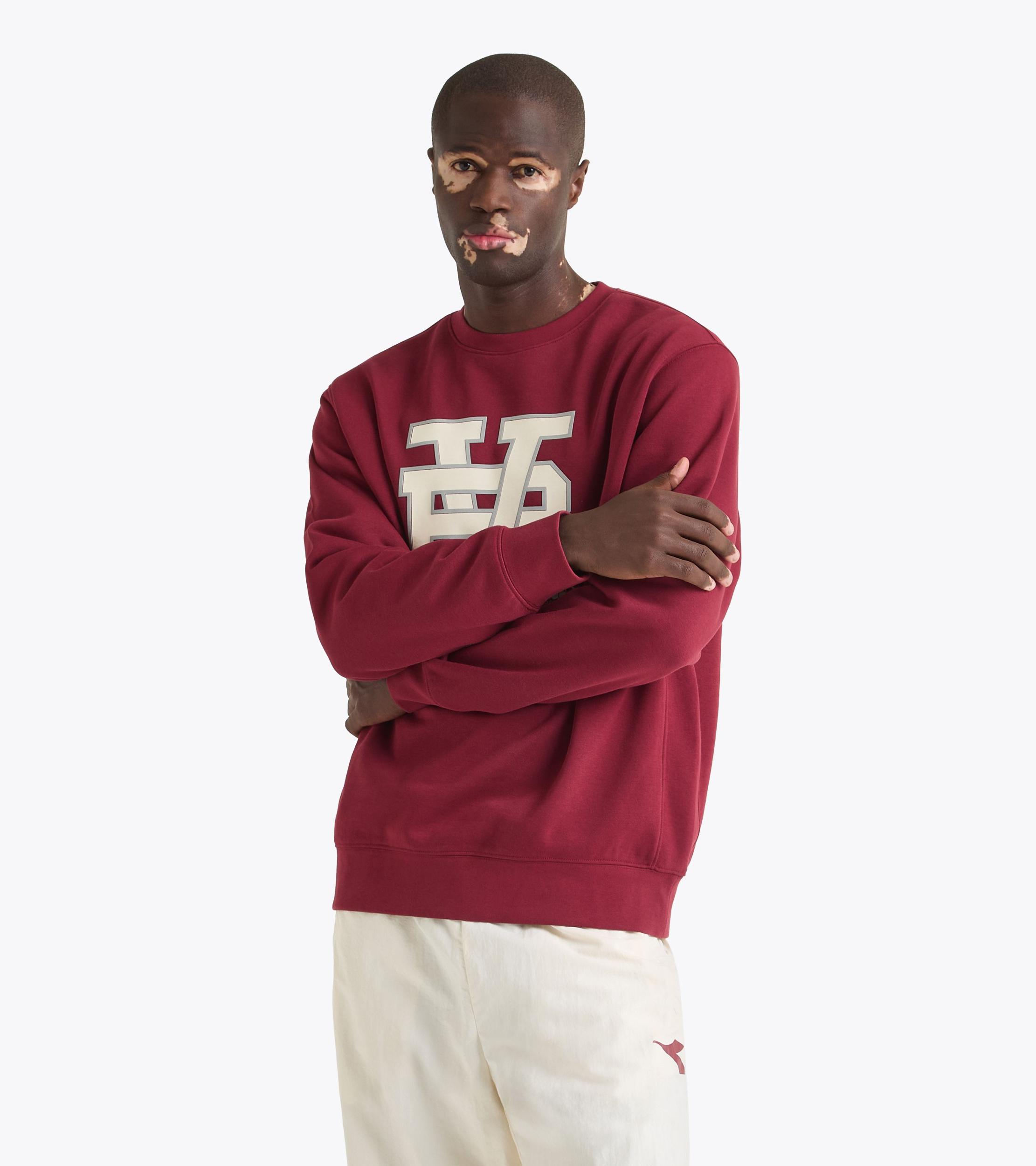 SWEATSHIRT CREW RUN VALLEY Product Image