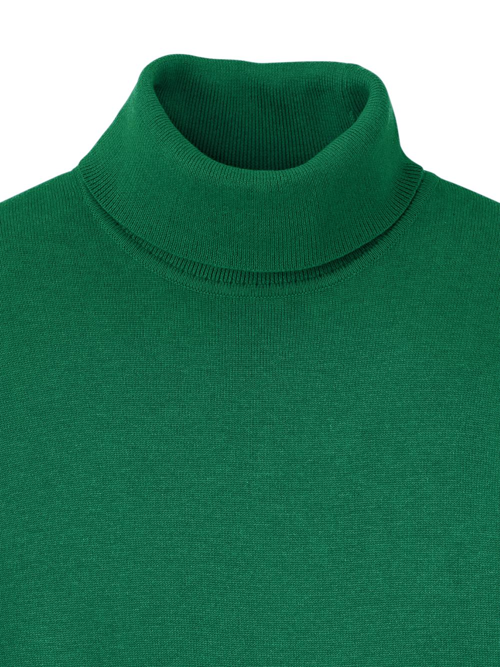 Supima Cotton Turtleneck - Green Product Image