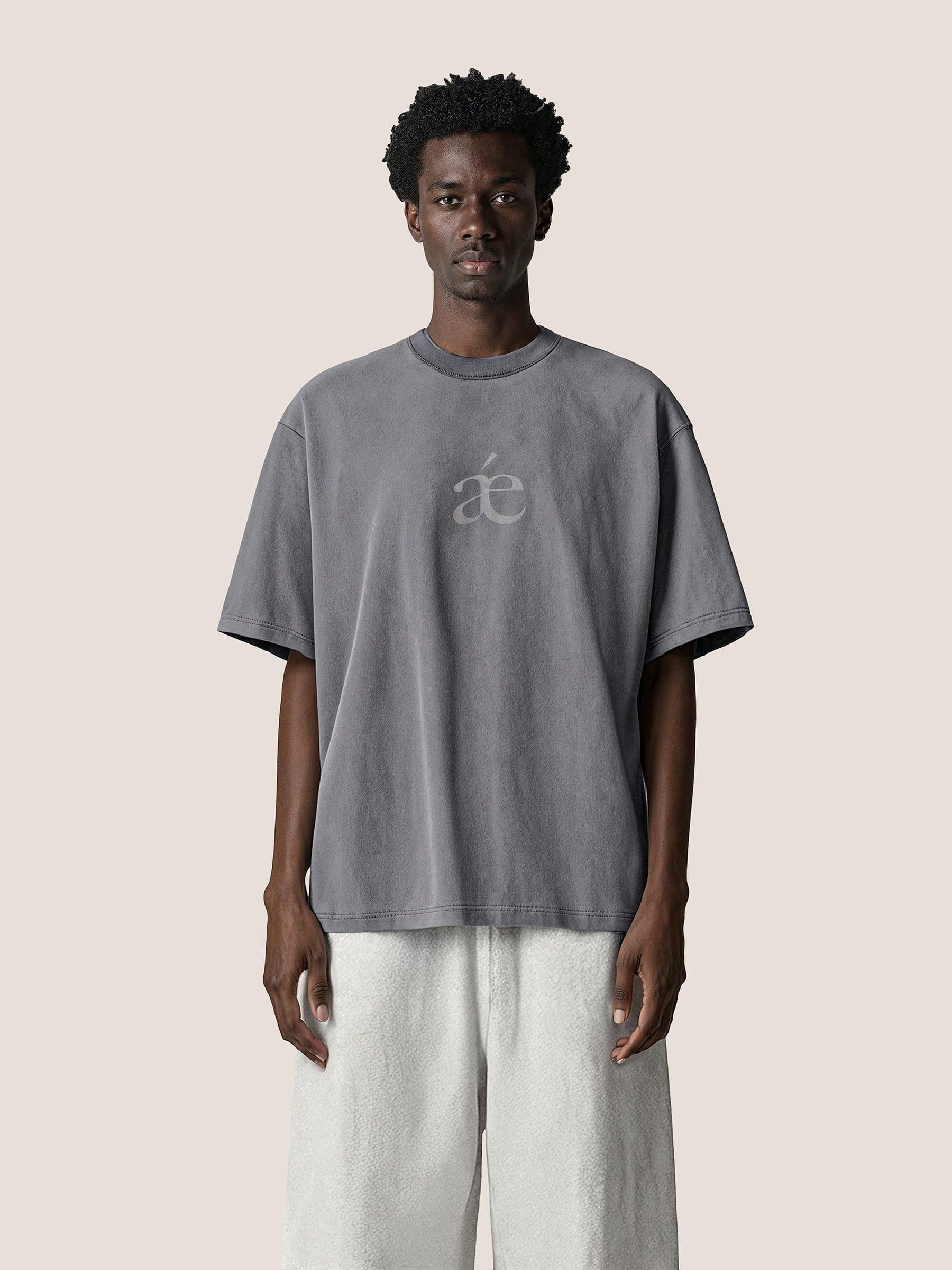 Aelfric Eden Essential aé Washed Tee Product Image