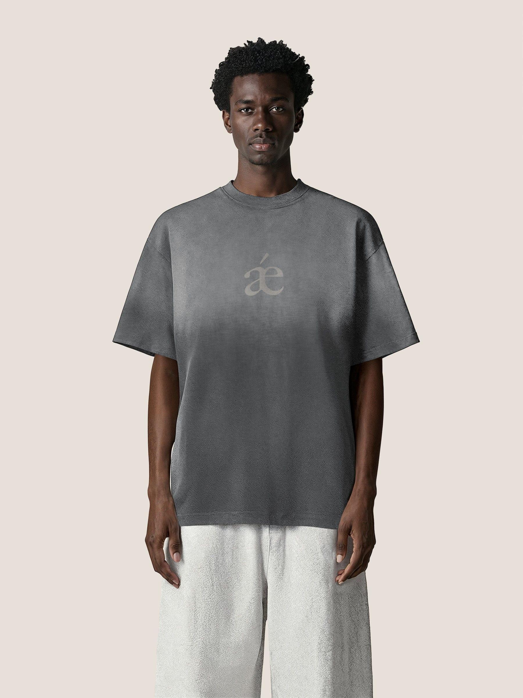 Aelfric Eden Essential aé Gradient Washed Tee Product Image
