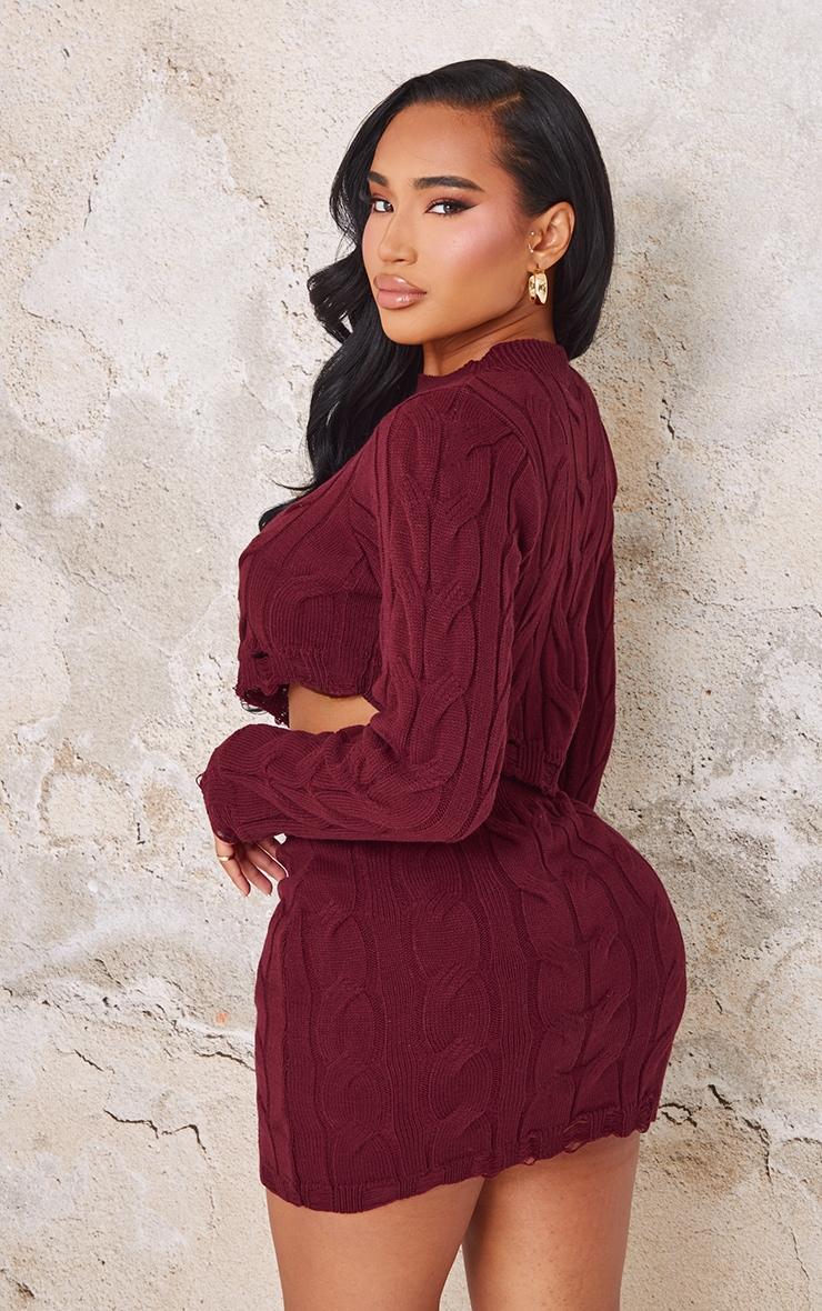 Shape Burgundy Knitted Dipped Hem Top Product Image