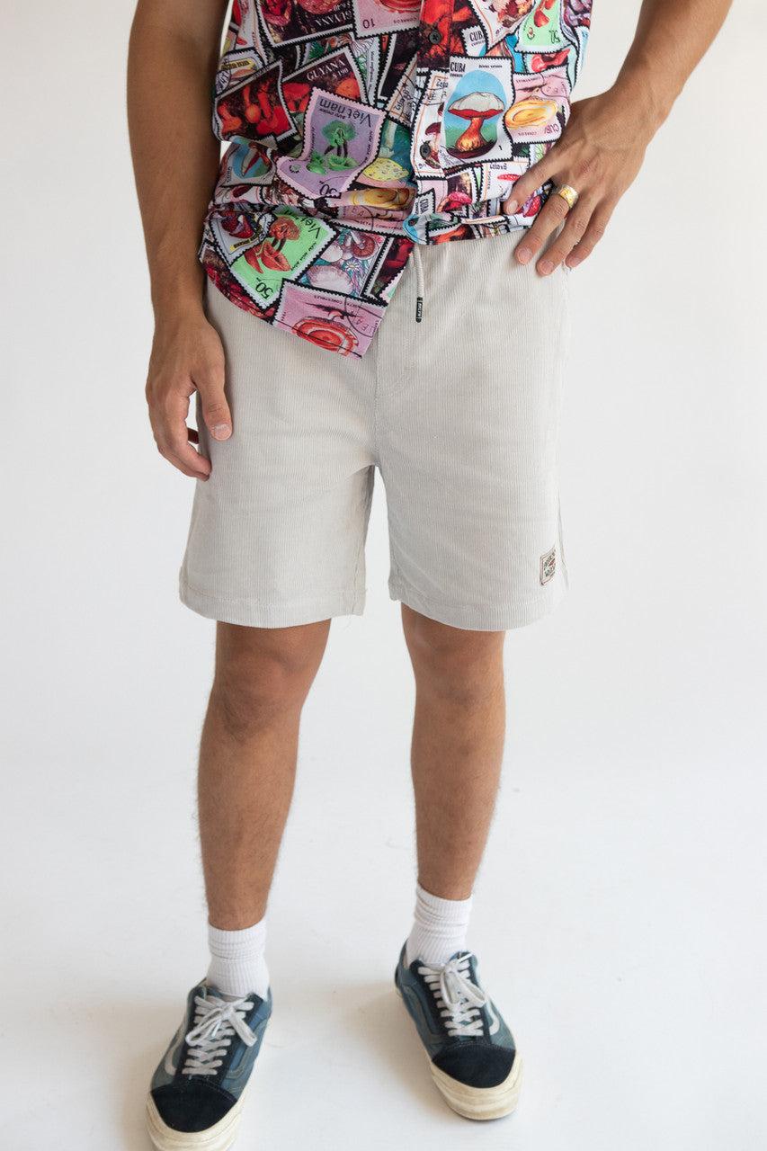Velvet Corduroy Shorts Product Image