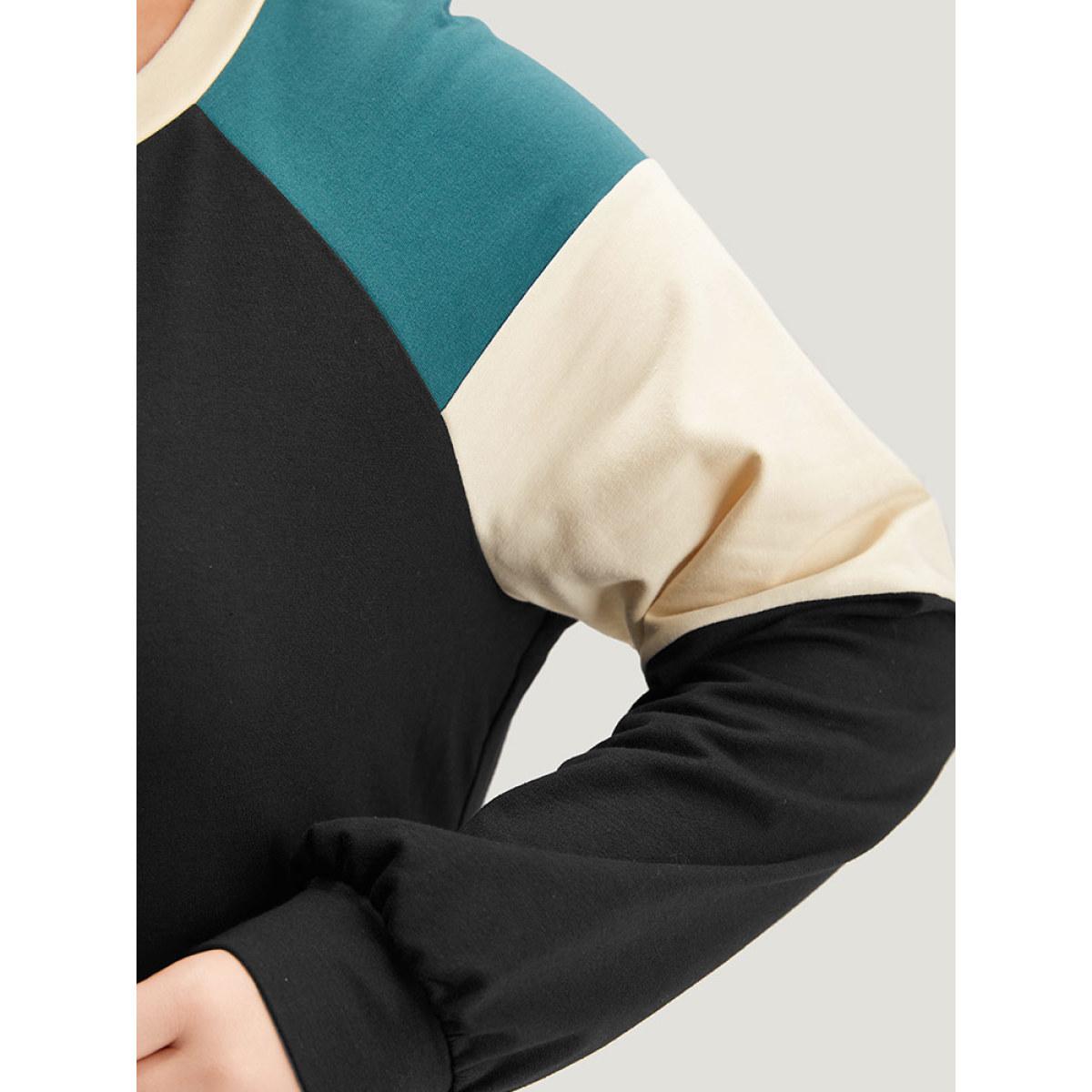 Plus Size Colorblock Contrast Raglan Sleeve Sweatshirt Women Black Casual Elastic cuffs Round Neck Dailywear Sweatshirts BloomChic 26/4X Product Image