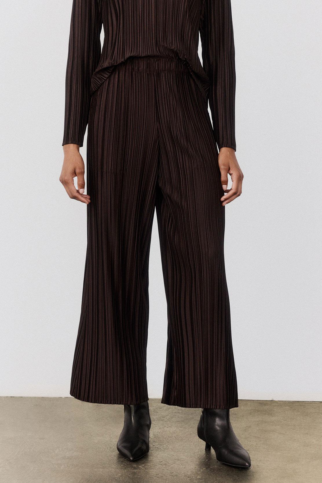 Relaxed Pleated Pants Product Image