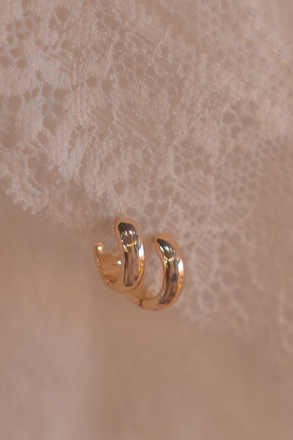 Hoop Earrings Product Image