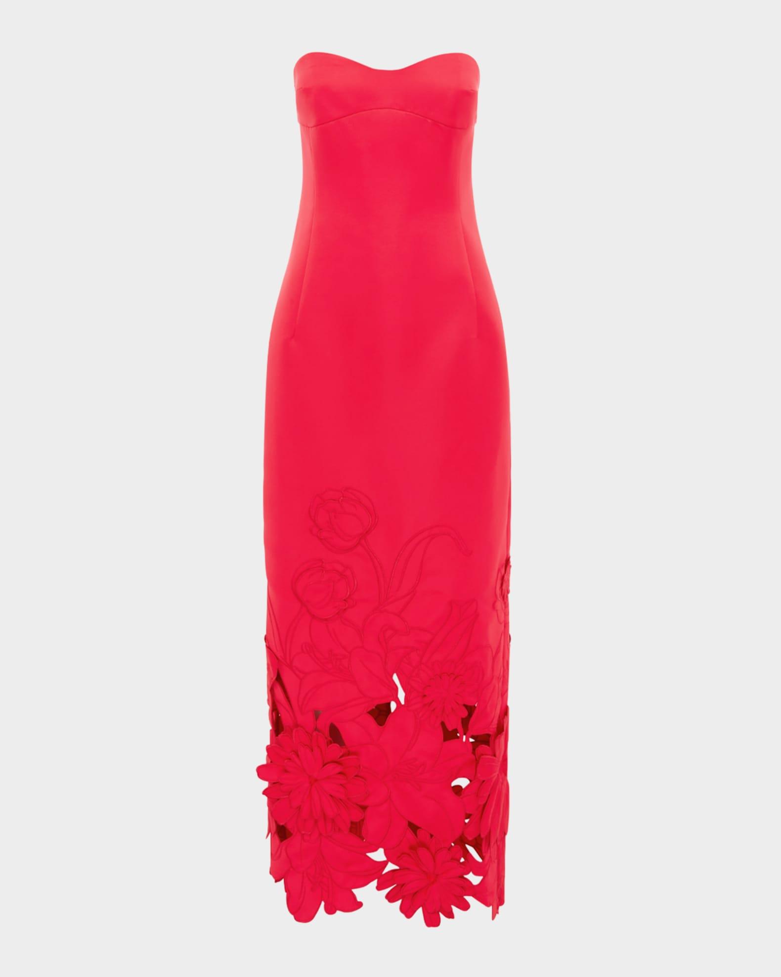 Zayna Embroidered Cutout Bustier Maxi Dress Product Image