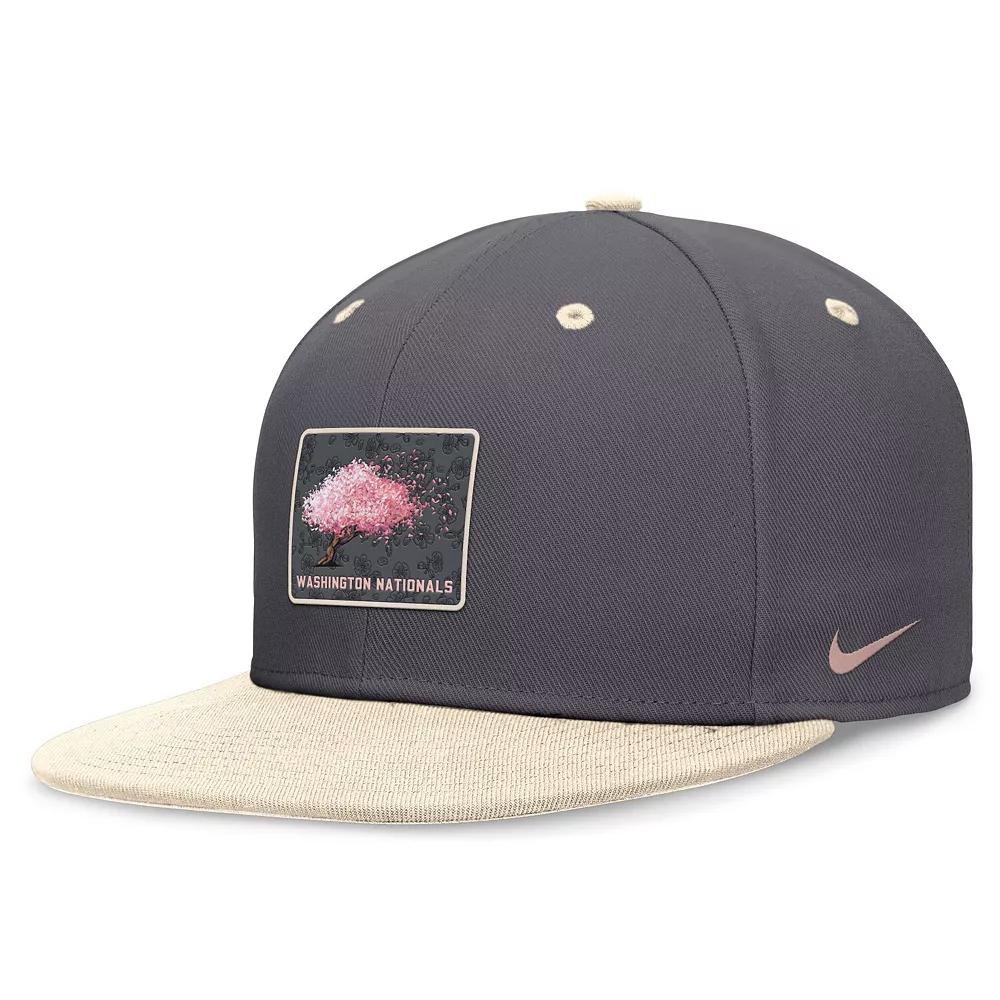 Men's Nike Graphite/Natural Washington Nationals City Connect True Fitted Hat,  Product Image