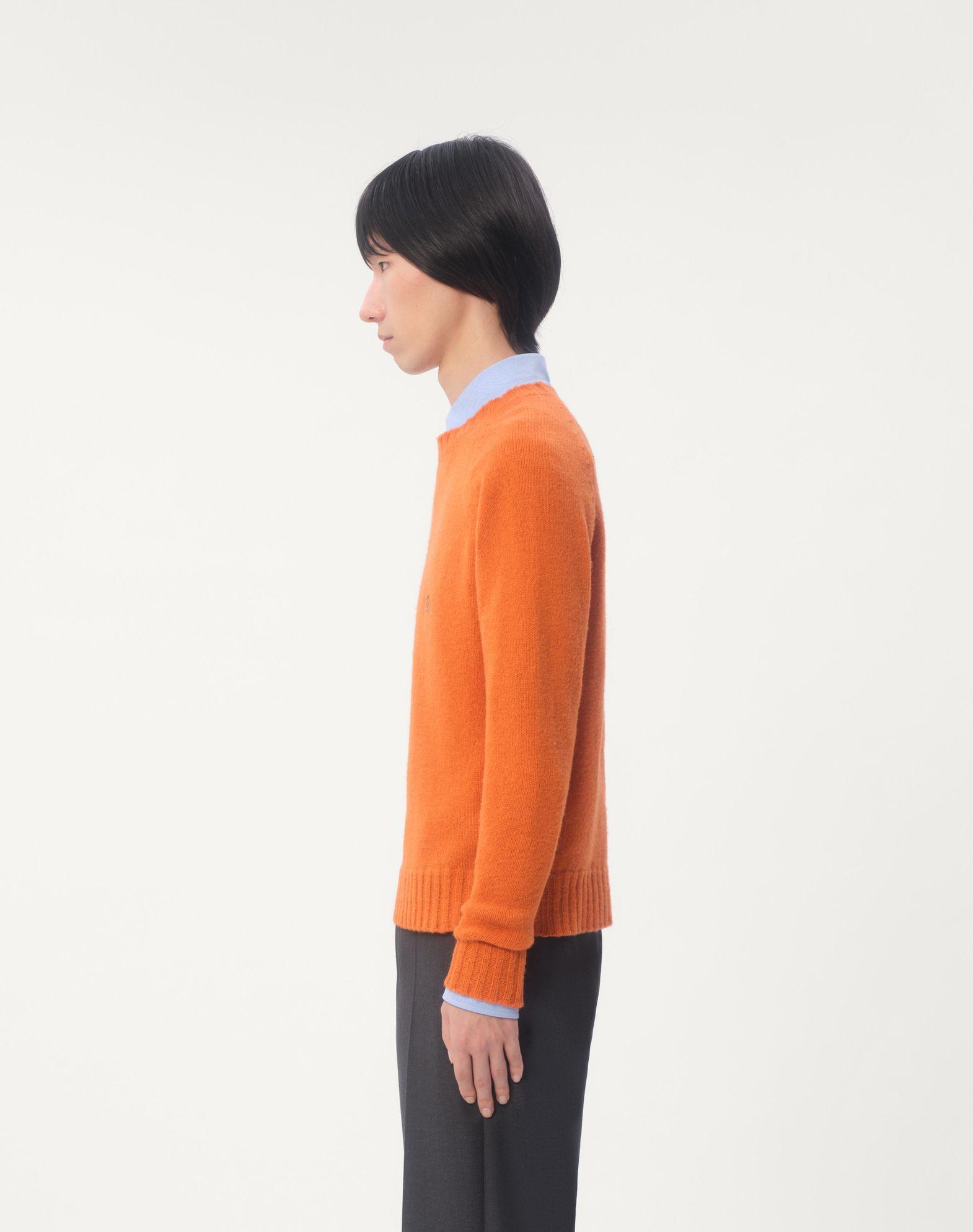 Shetland Wool Crewneck Sweater With Vlogo Embroidery Product Image