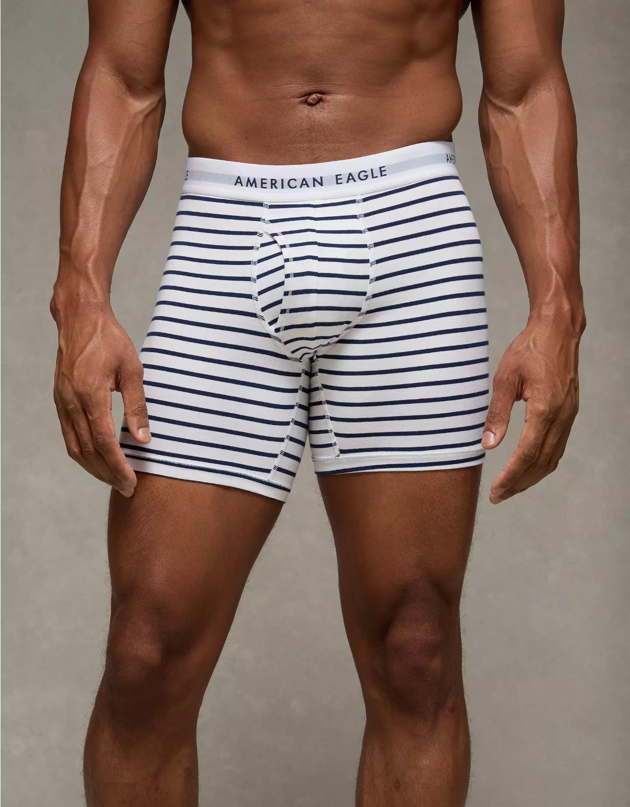 AEO Men's Striped 6" Classic Boxer Brief Product Image