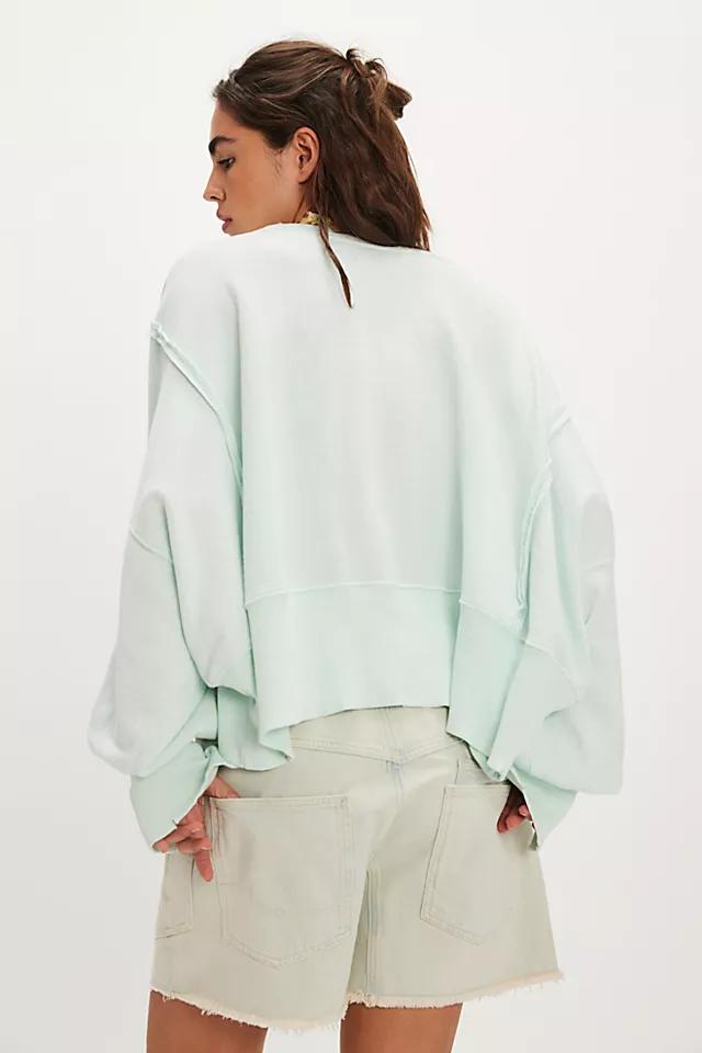 We The Free Camden Cropped Sweatshirt Product Image