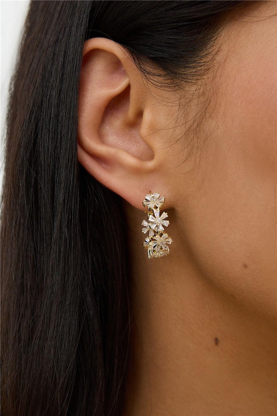 Dazzle Desert Earrings Gold Product Image