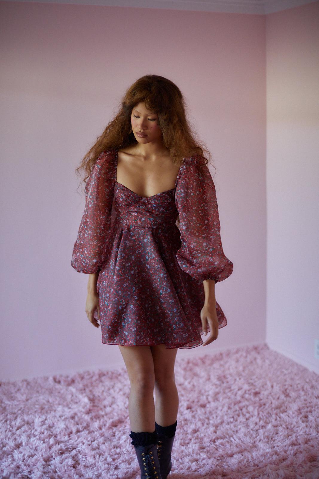 The Crimson Princess Dress Product Image