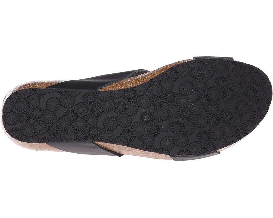 Lily 2 Product Image