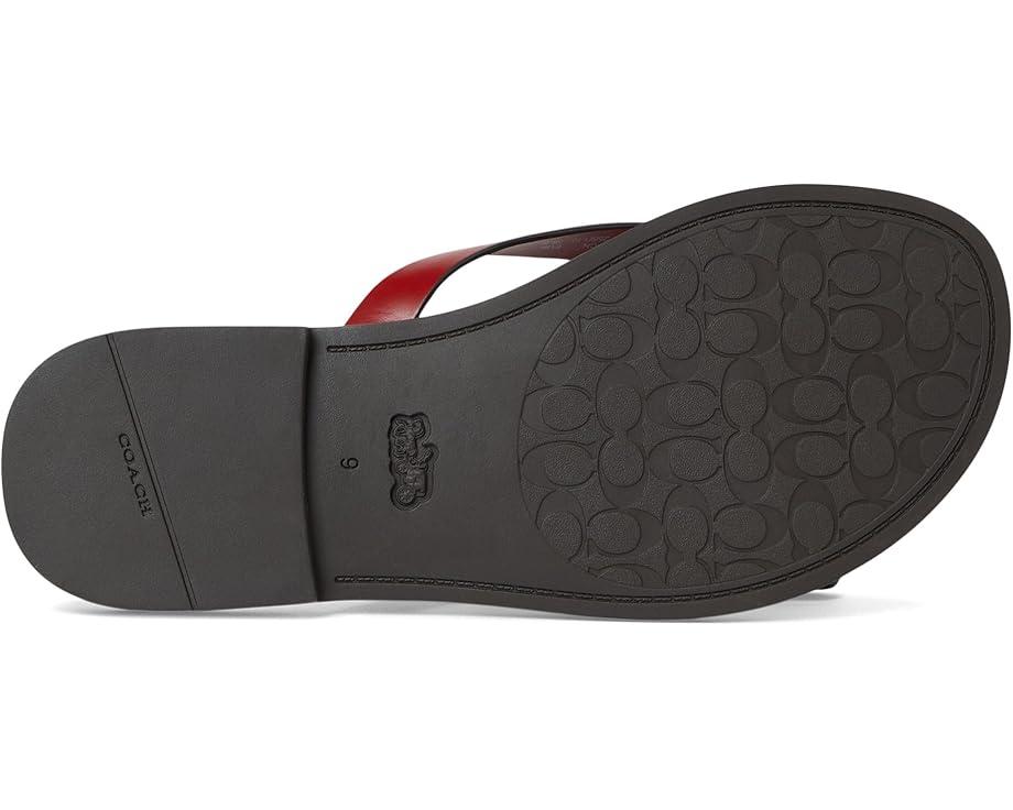 Capri Wrap Up Sandals Product Image