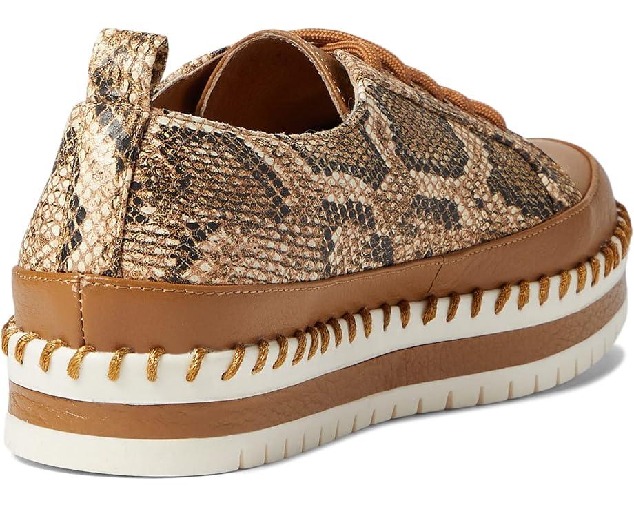 Online Lace-up Shoes Product Image