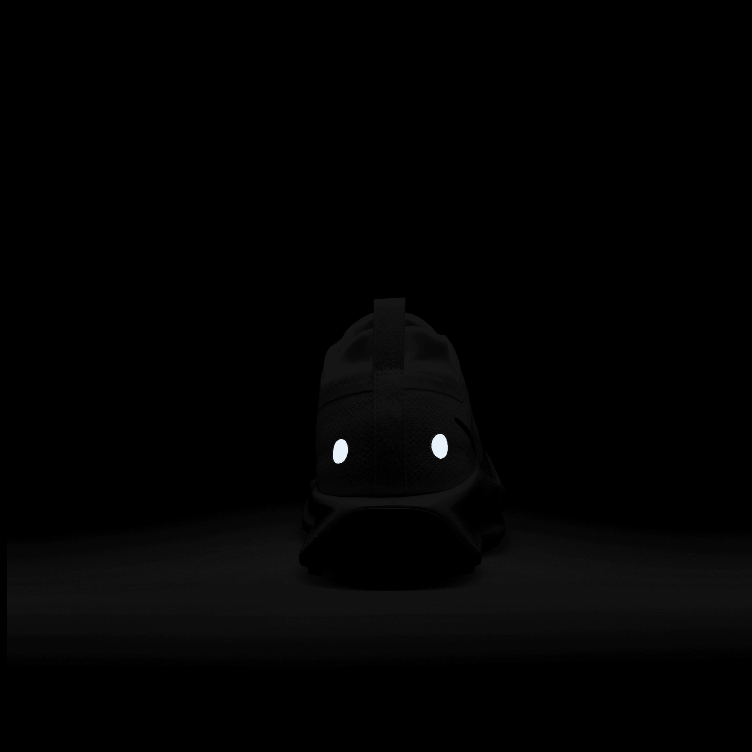 Nike Mens Pegasus Trail 5 GORE-TEX Waterproof Trail Running Shoes | FQ0908-102 Product Image