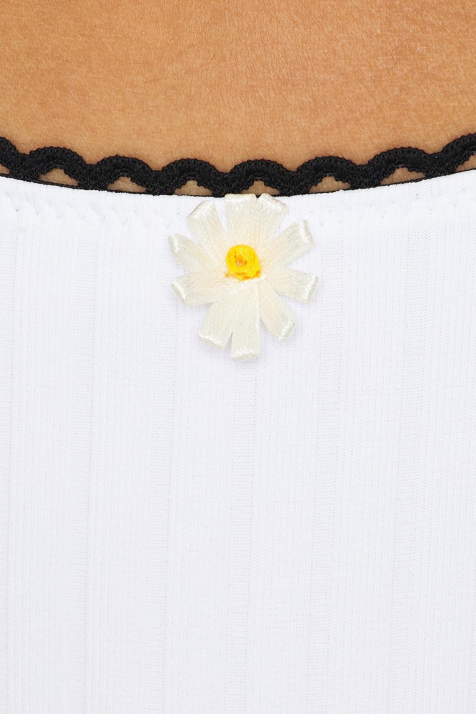 The Daphne Bikini Bottom Solid & Striped Product Image