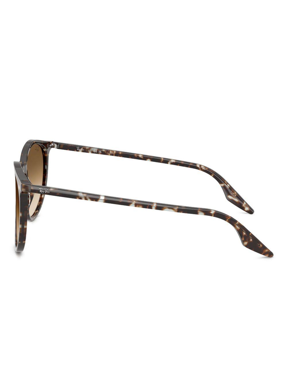 RB2204 sunglasses  Product Image