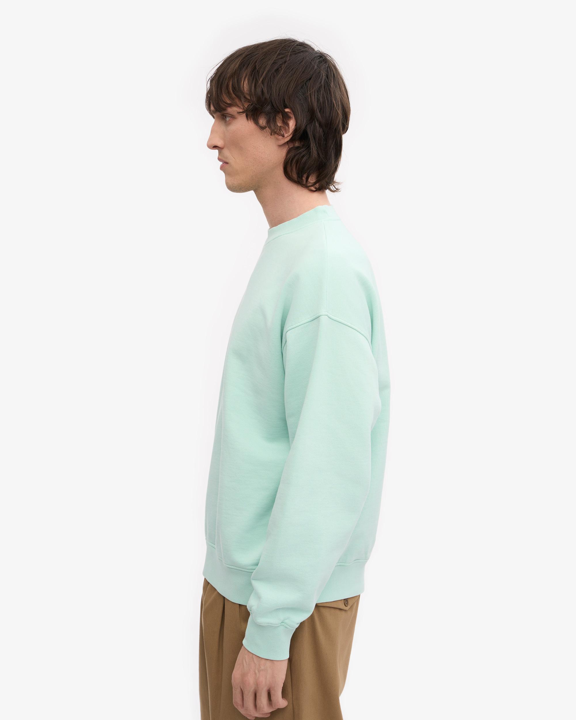 Organic Oversized Crew - Light Aqua Product Image