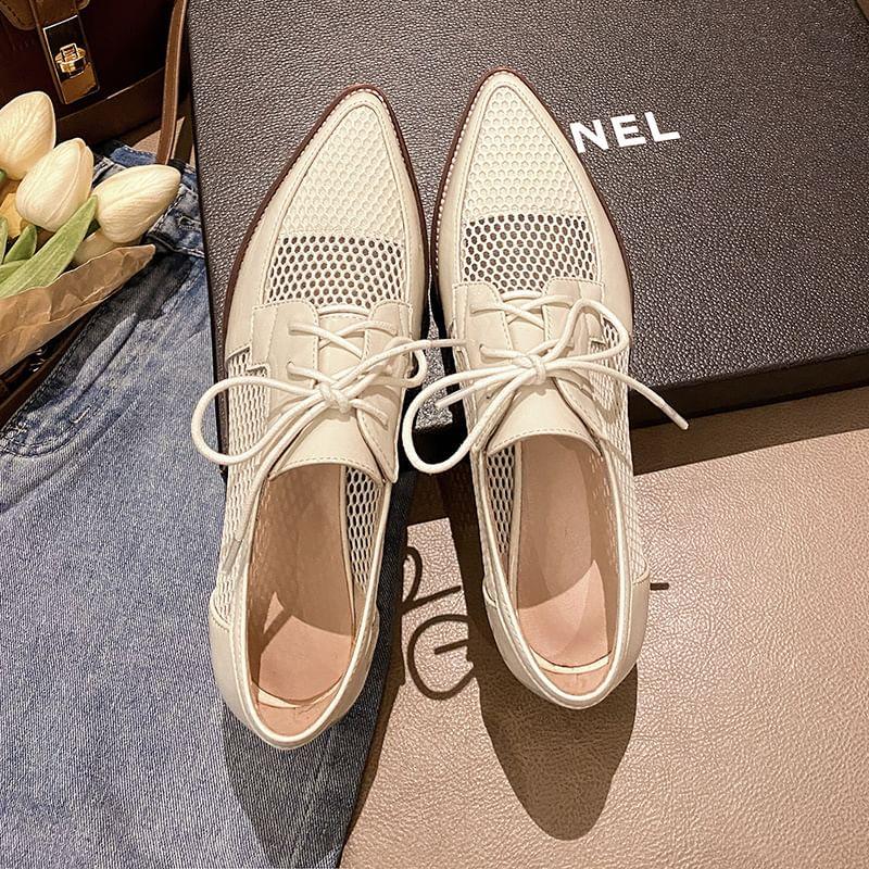 Mesh Panel Chunky Heel Lace-Up Shoes Product Image