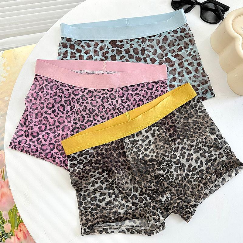 Leopard Print Boxer Brief / Set Product Image