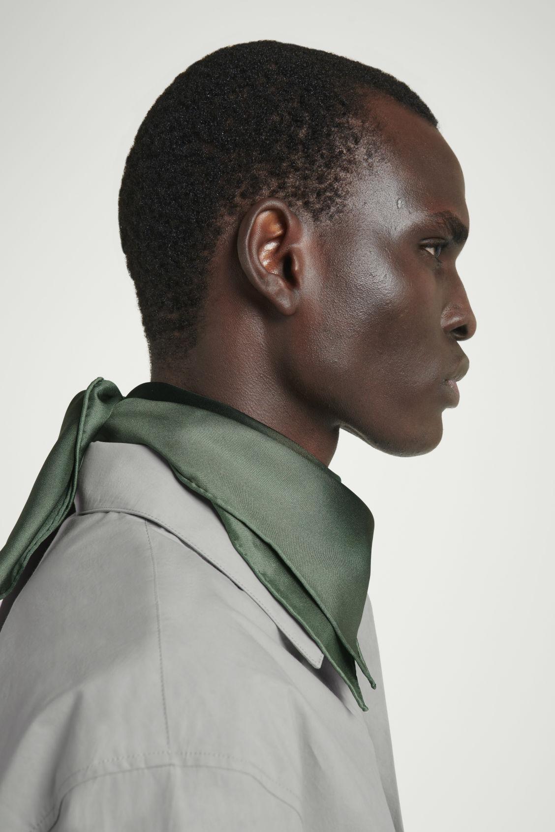 PRINTED SILK SCARF Product Image