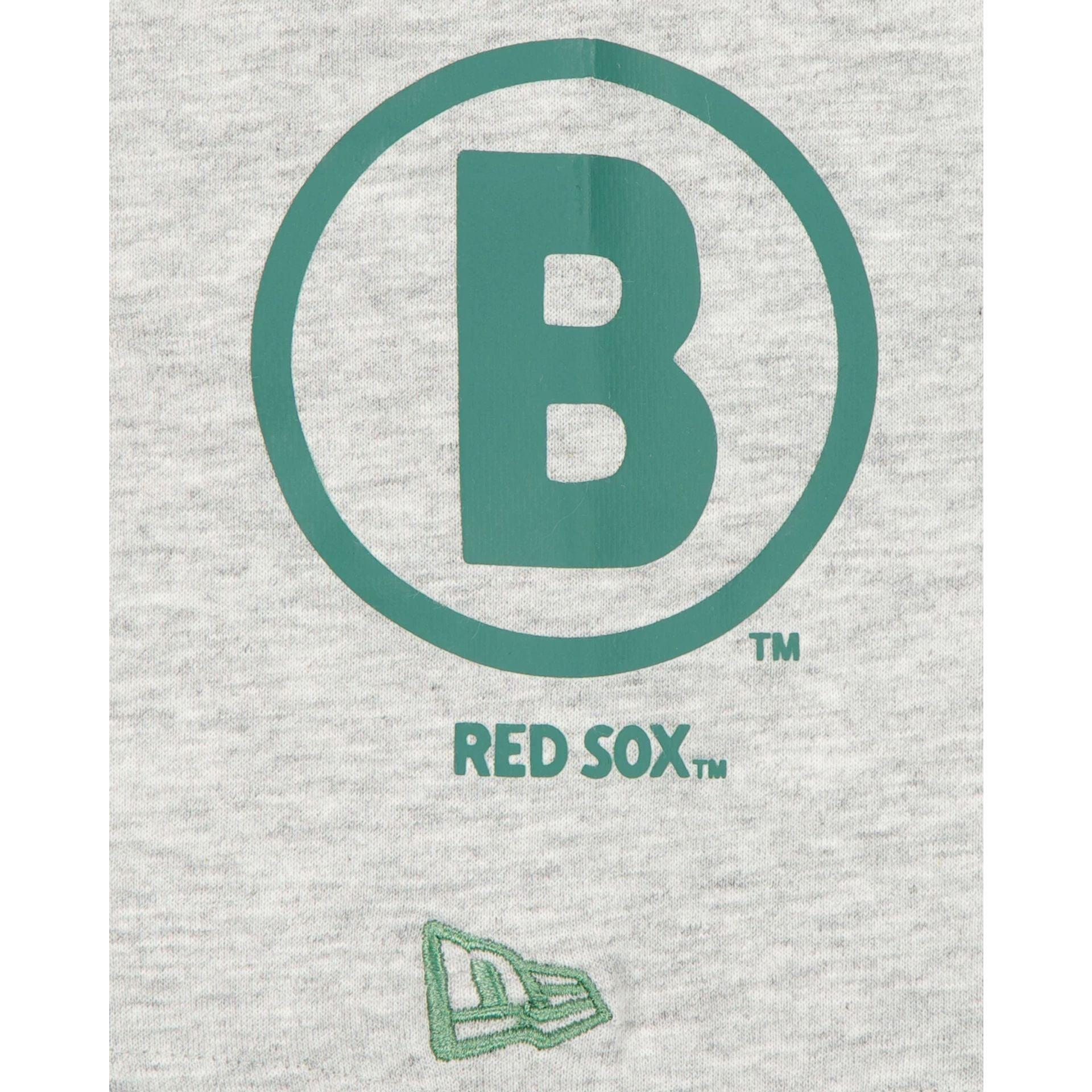 Boston Red Sox City Connect Gray T-Shirt Male Product Image