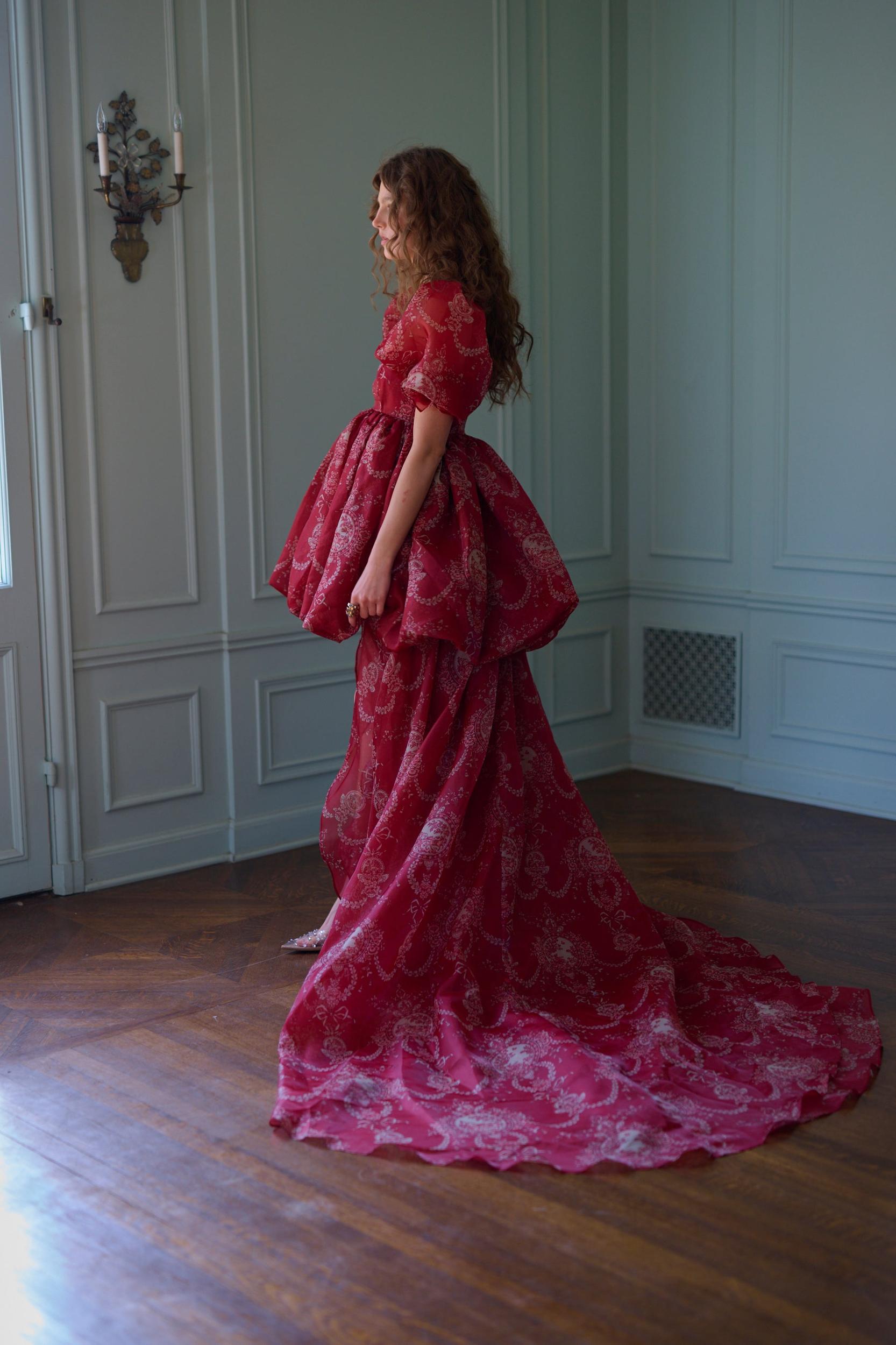 The Ornament Fairytale Gown Product Image