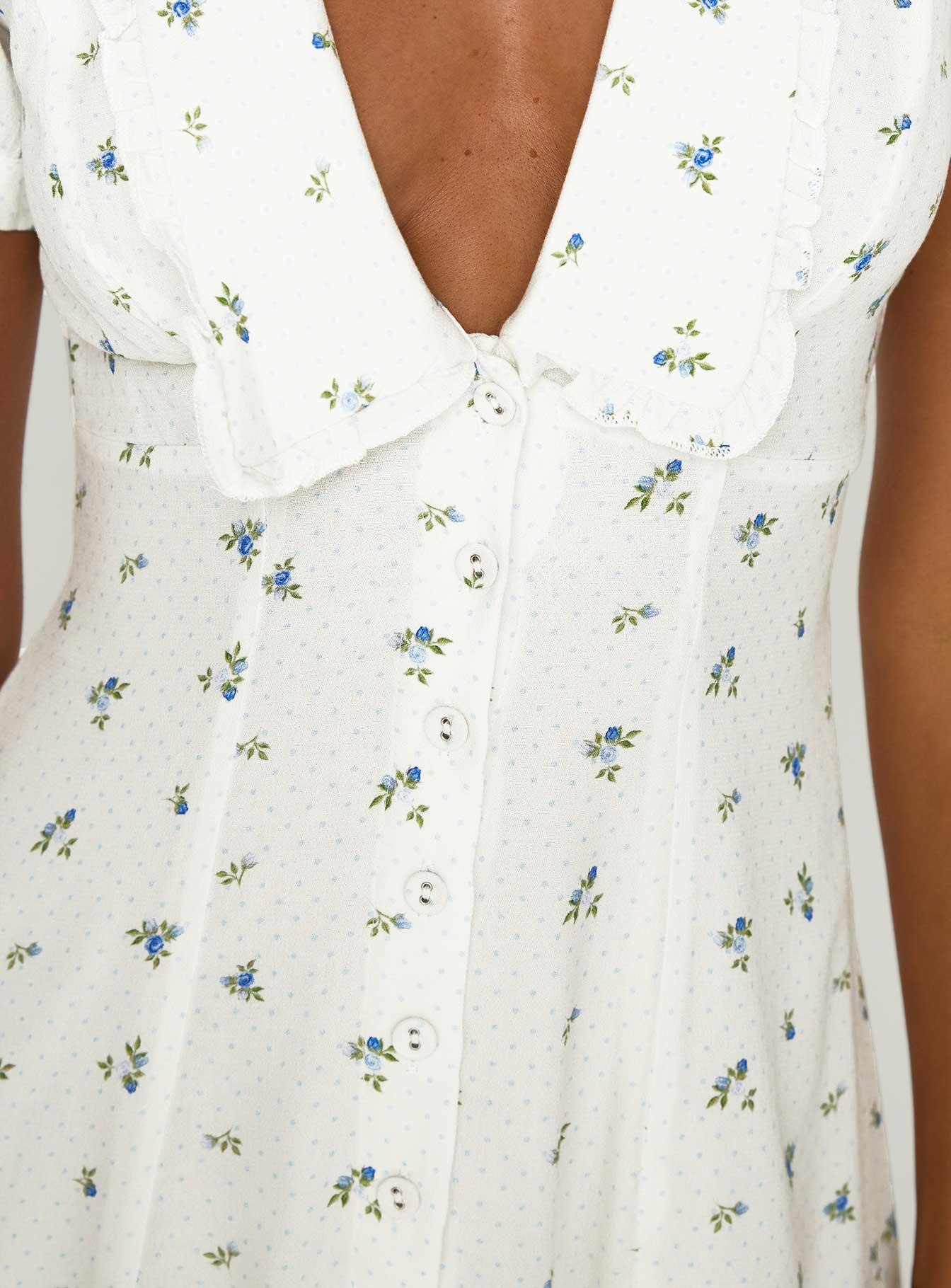 Fabiola Collared Mini Dress Floral Product Image