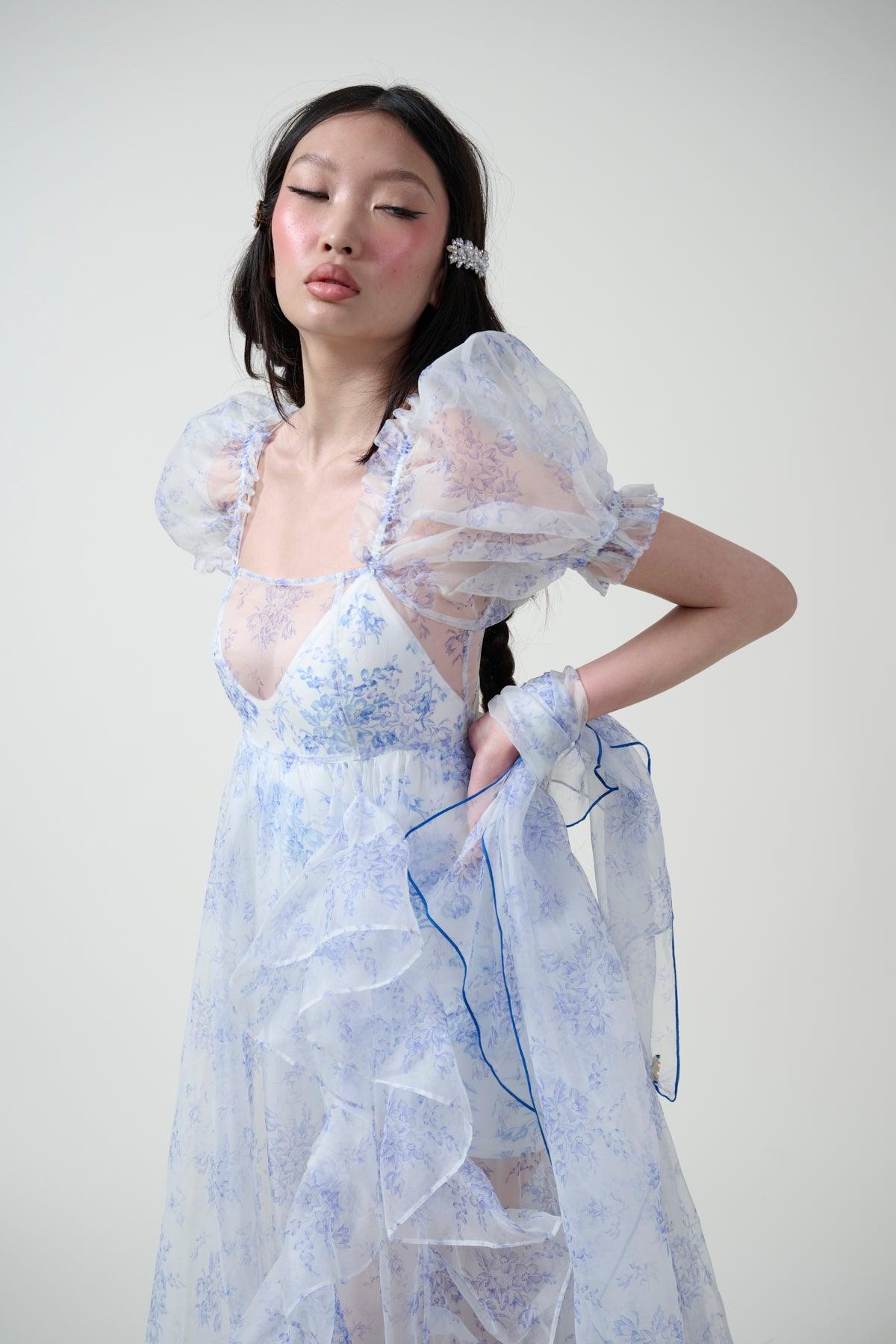 The Bed & Breakfast Sheer Delight Ruffle Gown Product Image
