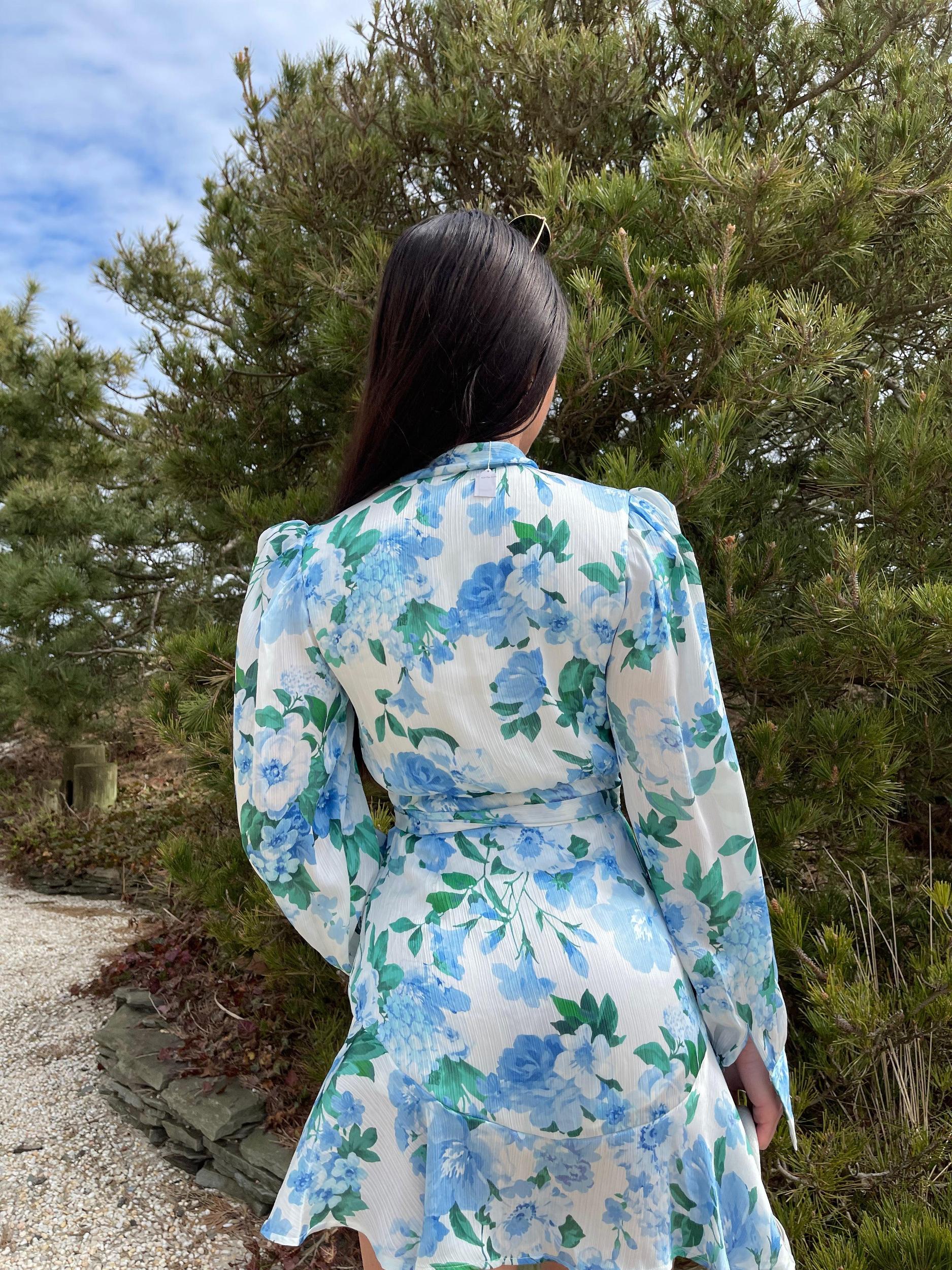 Line & Dot | Lisette Mini Dress FINAL SALE Product Image